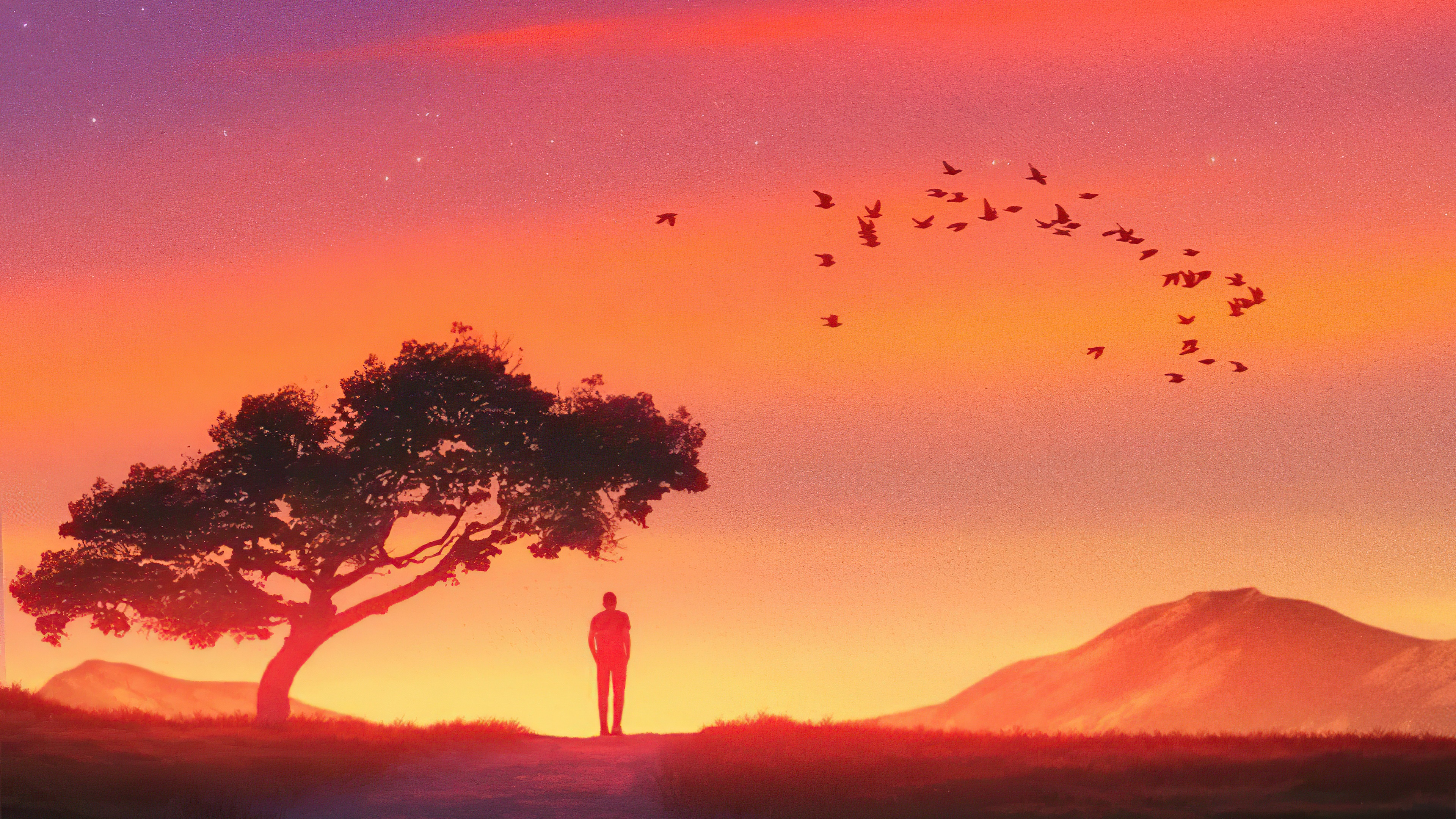Man standing under a tree at sunset with birds flying HD Wallpaper