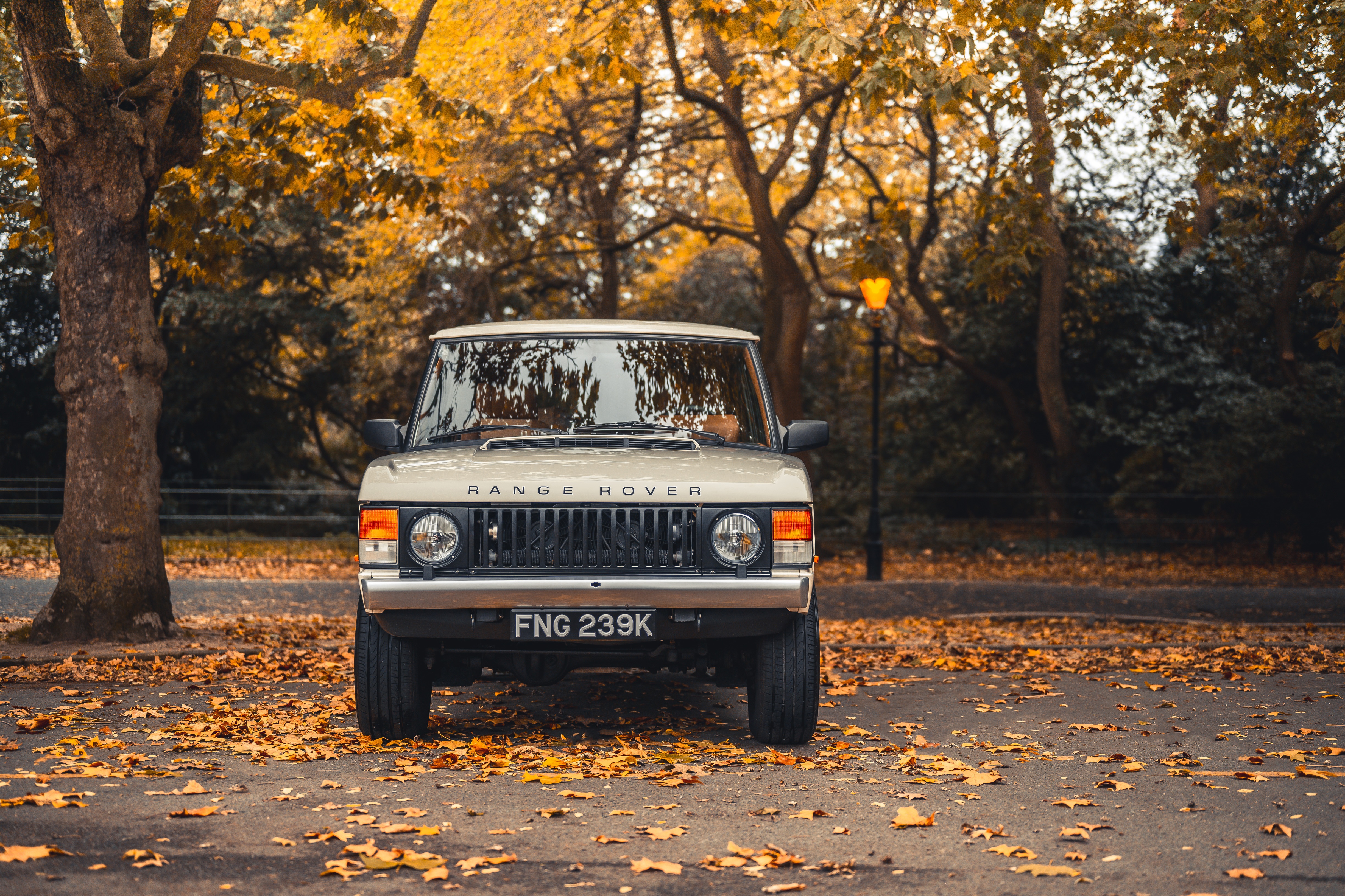 Range Rover FNG 239K in Autumn Park HD Wallpaper