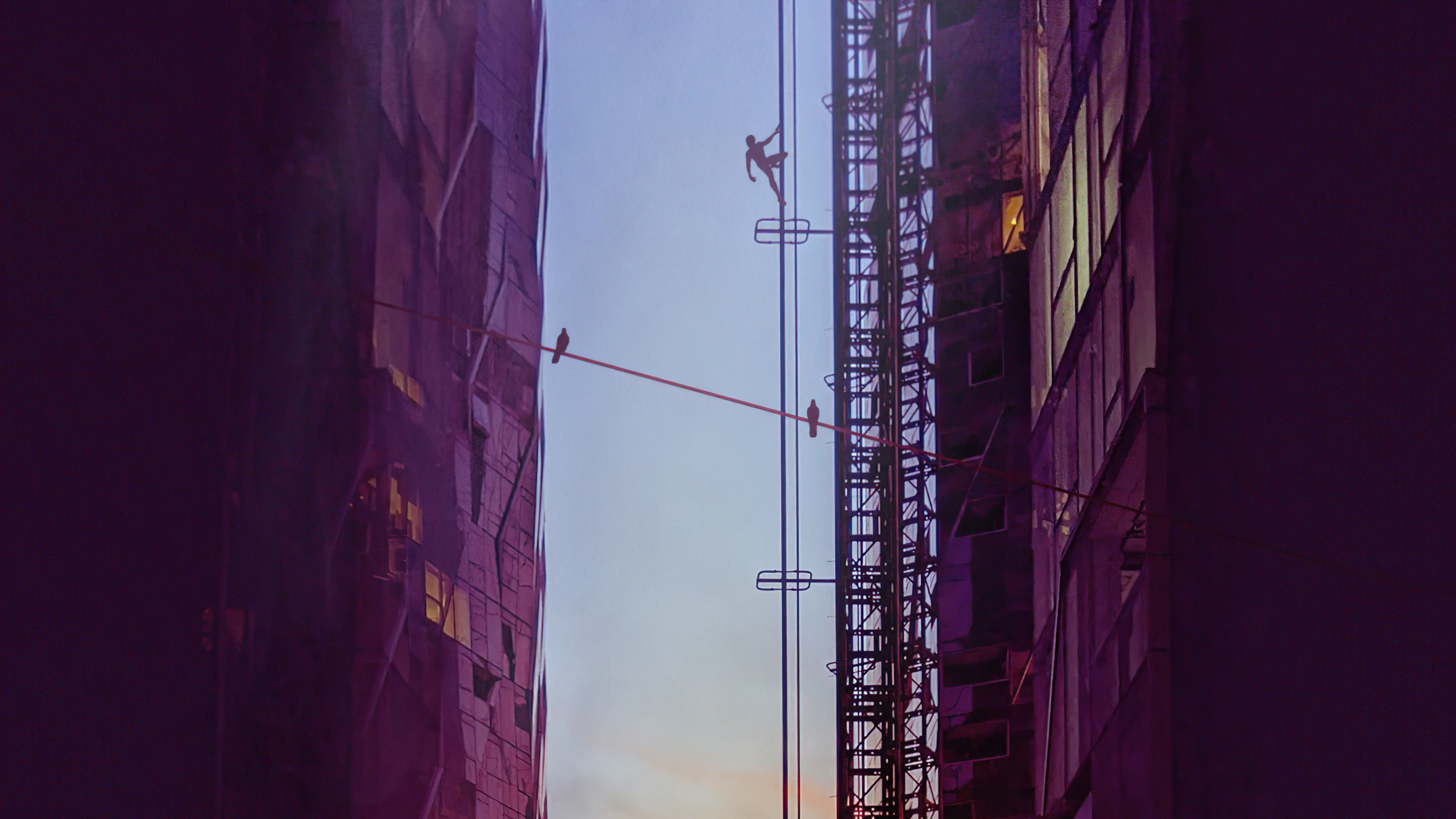 Man climbing on a wire between buildings HD Wallpaper