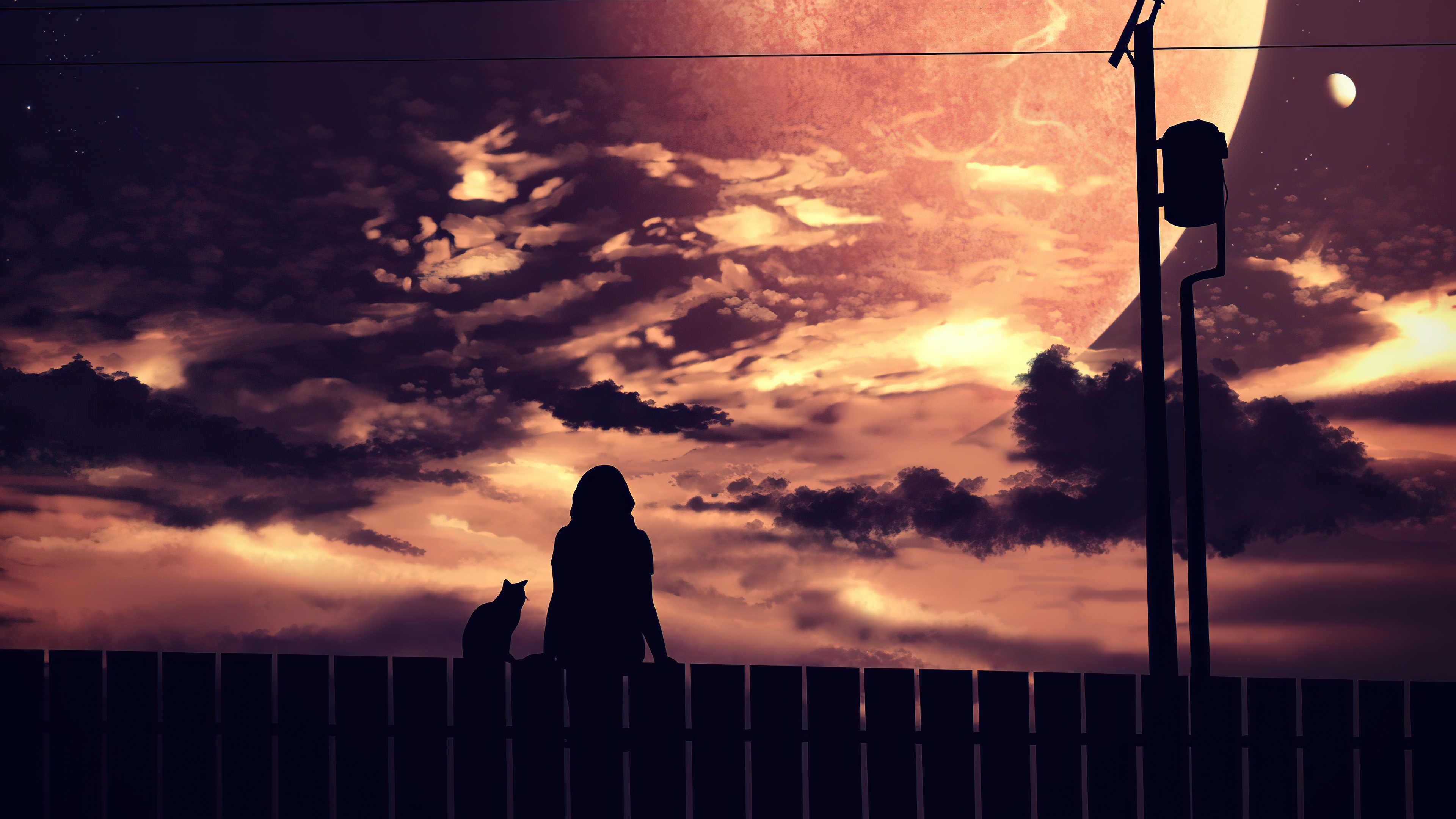 Girl and cat on fence with planet and moon HD Wallpaper