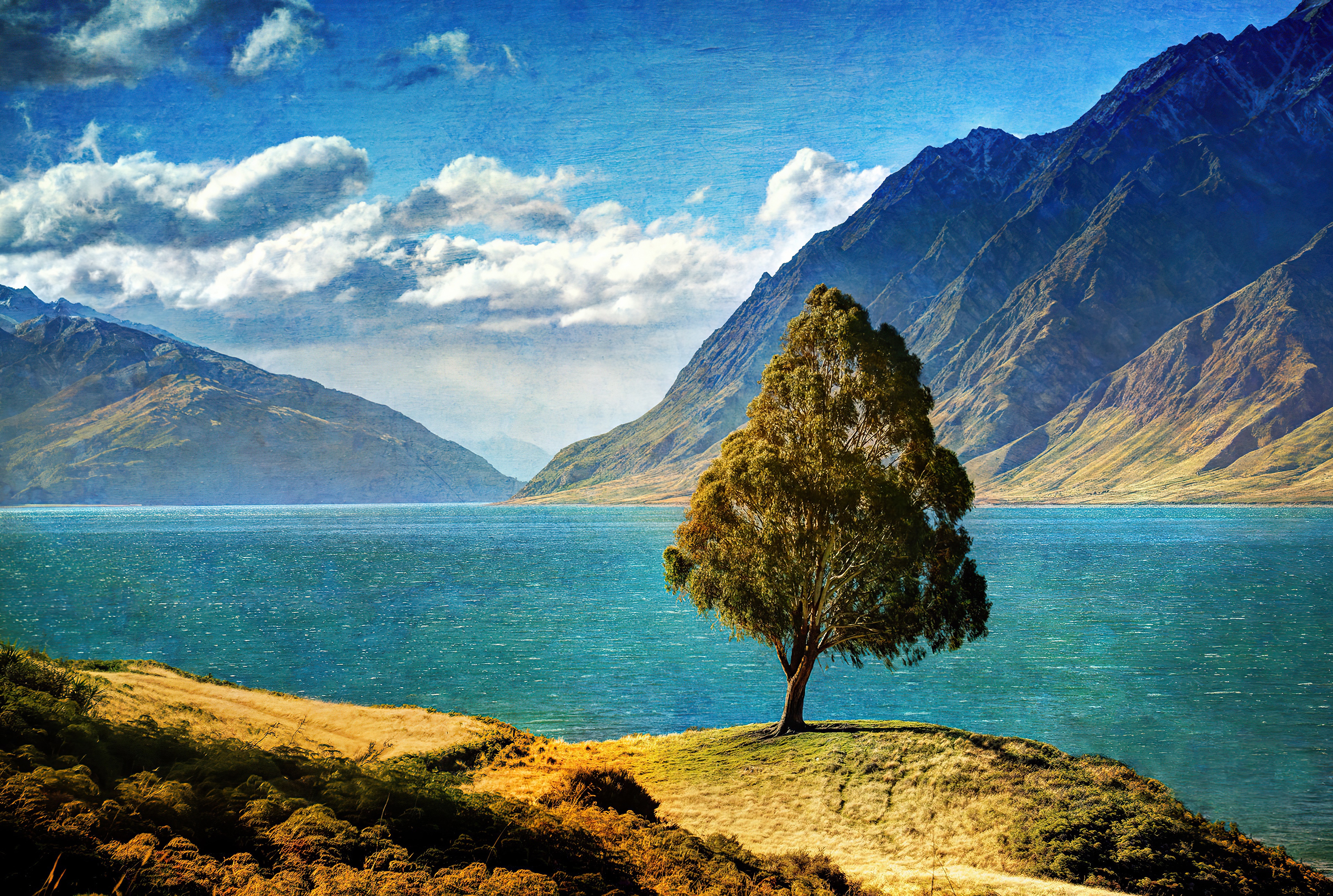 Lake and mountains with a lone tree HD Wallpaper