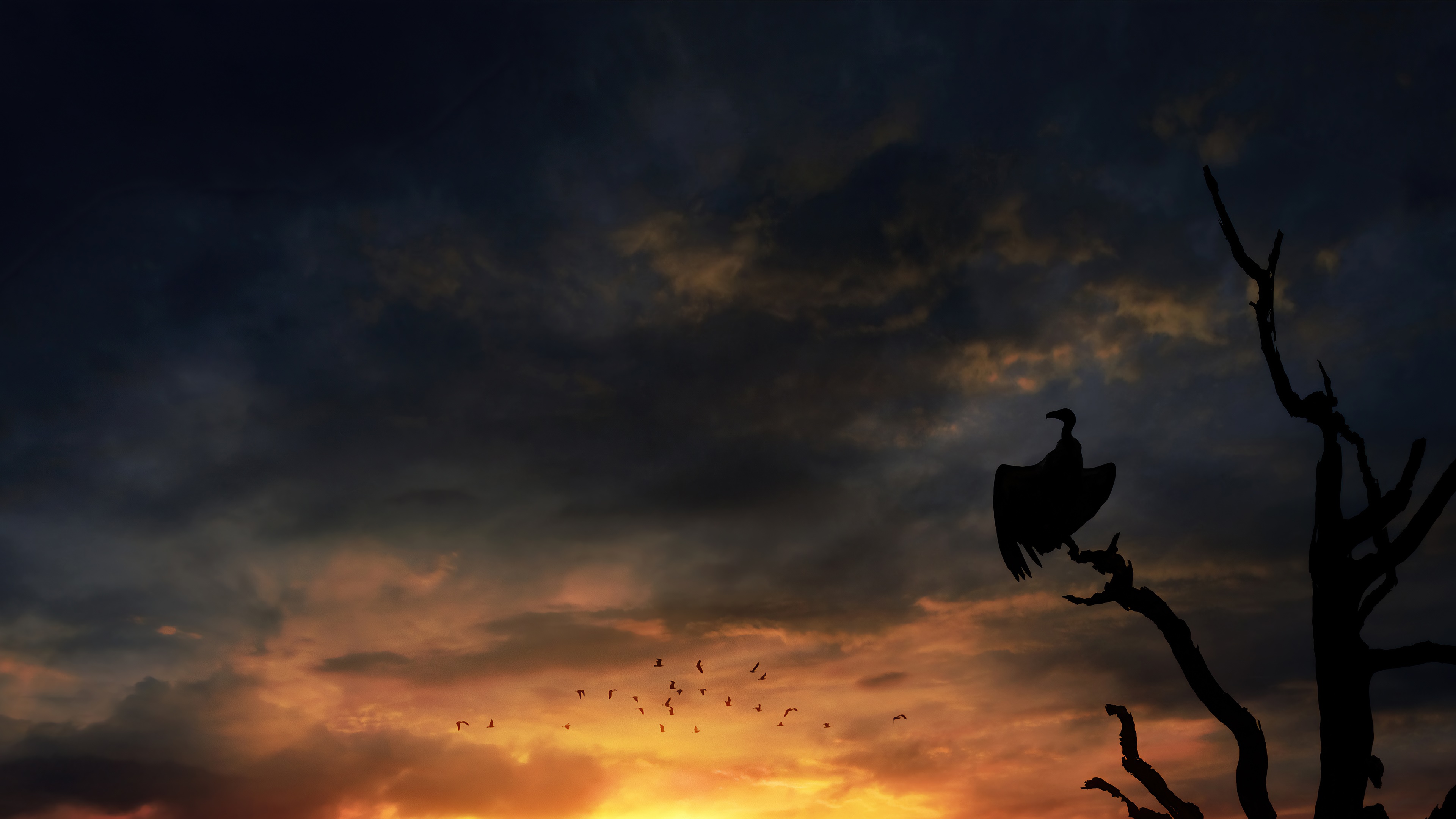 Silhouette of a vulture on a dead tree at sunset HD Wallpaper
