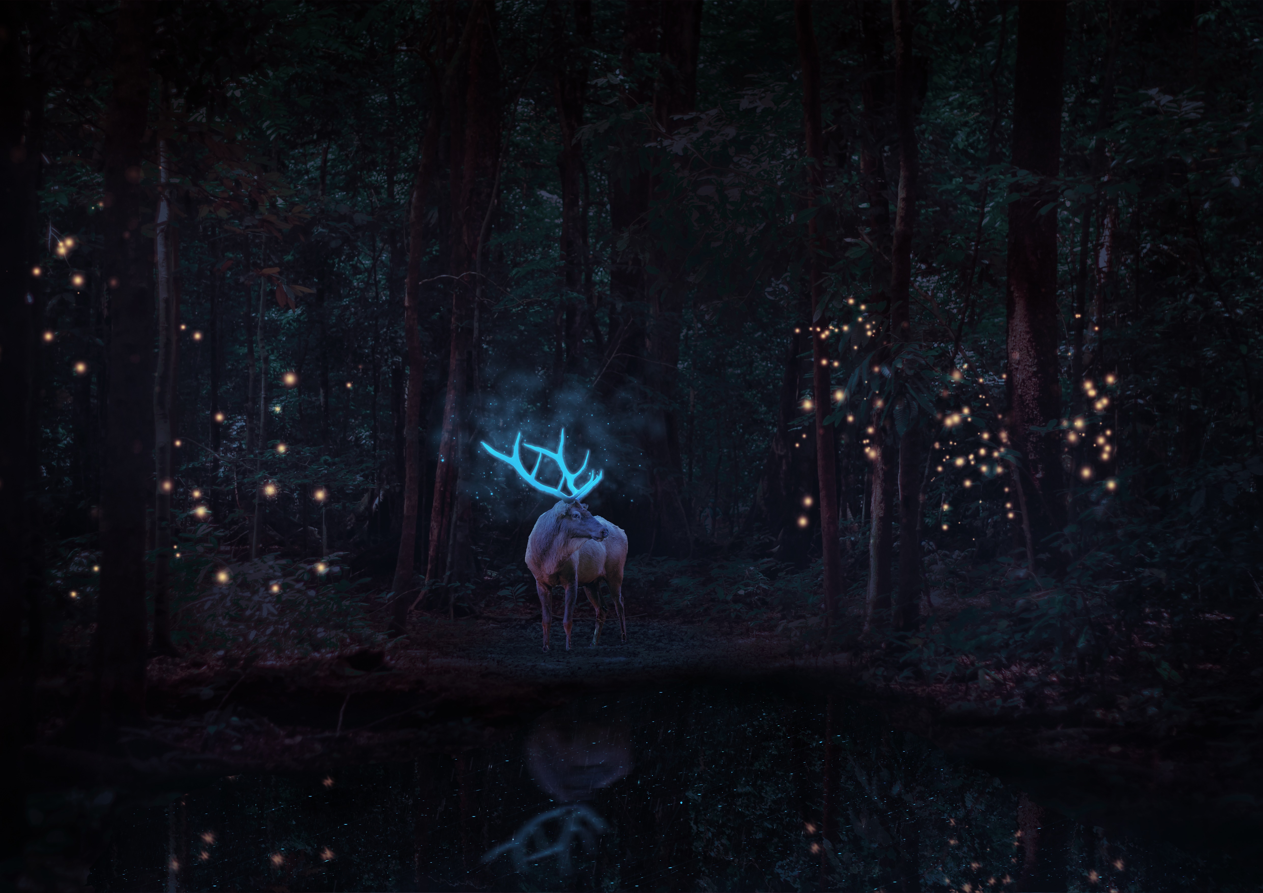 Magical deer with glowing antlers in a dark forest HD Wallpaper
