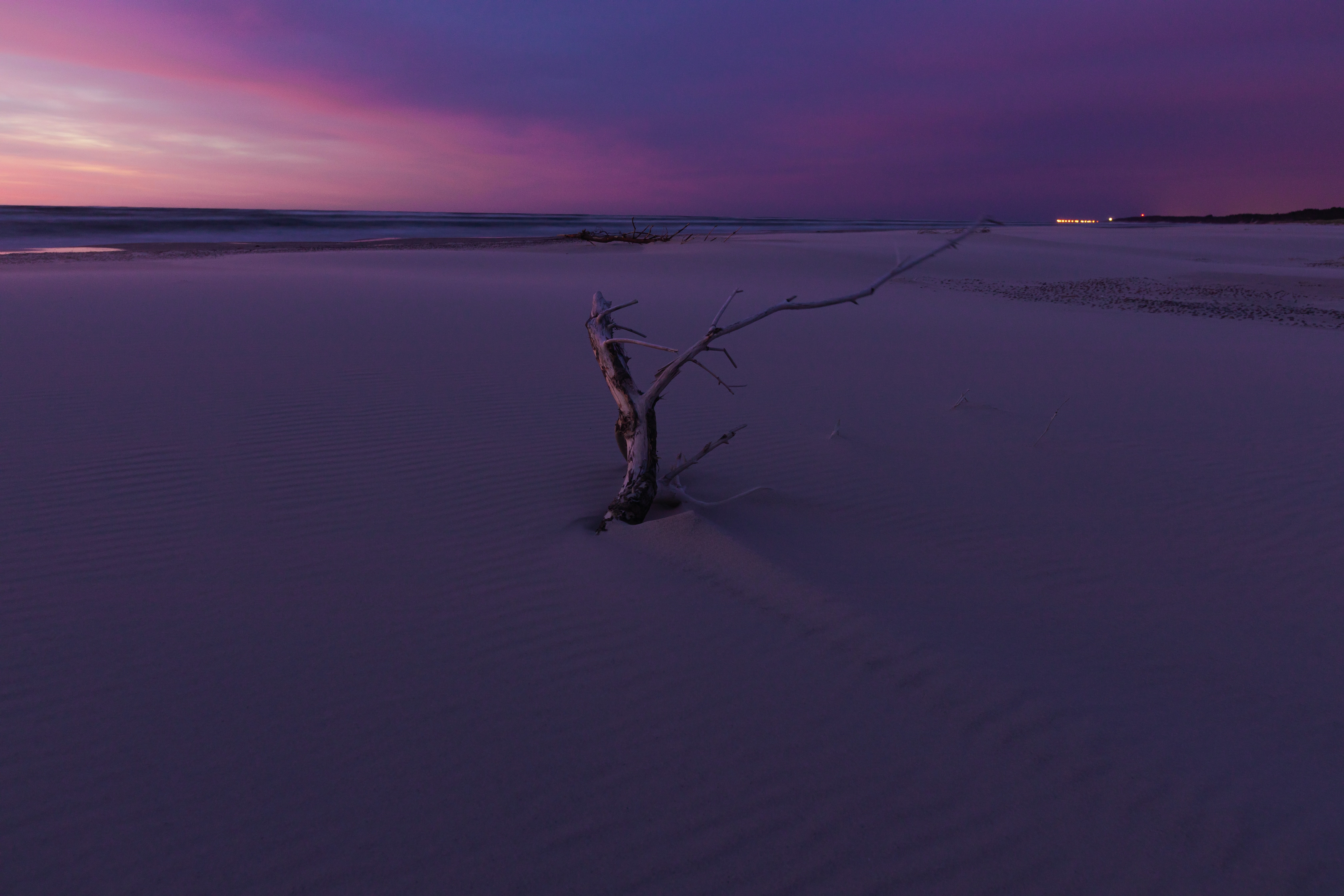 Driftwood on a beach at sunset HD Wallpaper