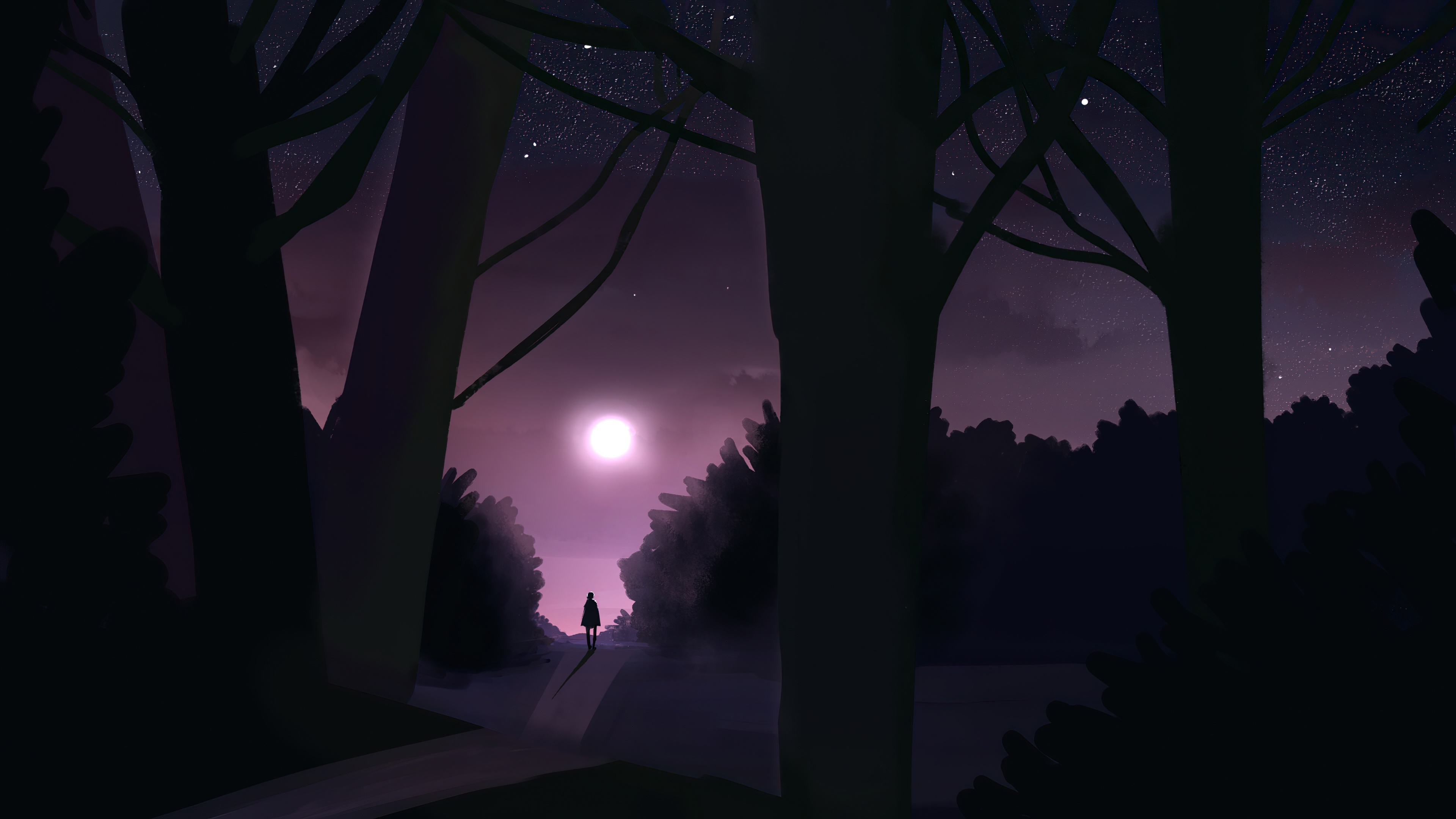 Person walking on a path in a forest at night HD Wallpaper