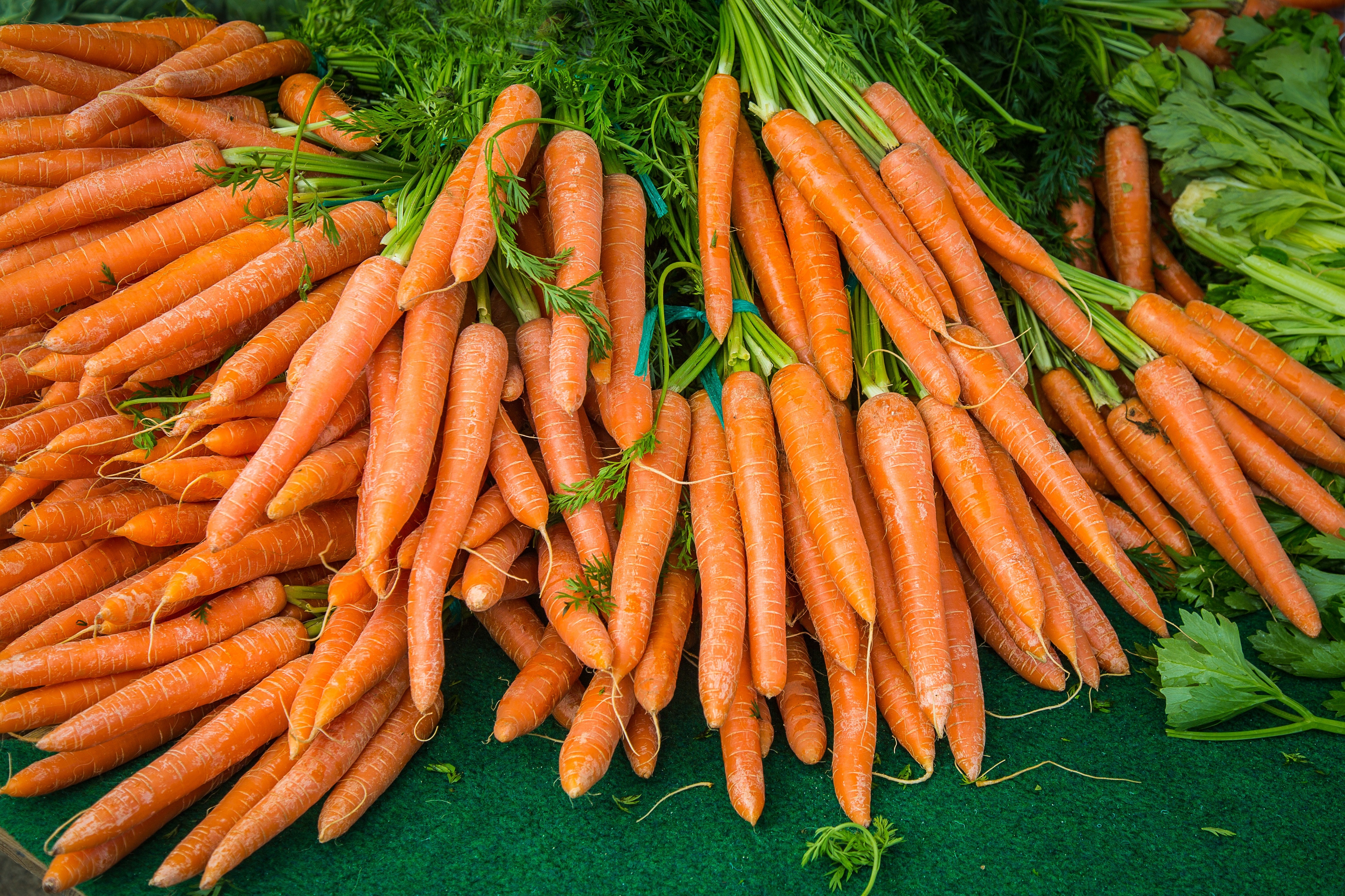 Many Carrots with Green Tops HD Wallpaper