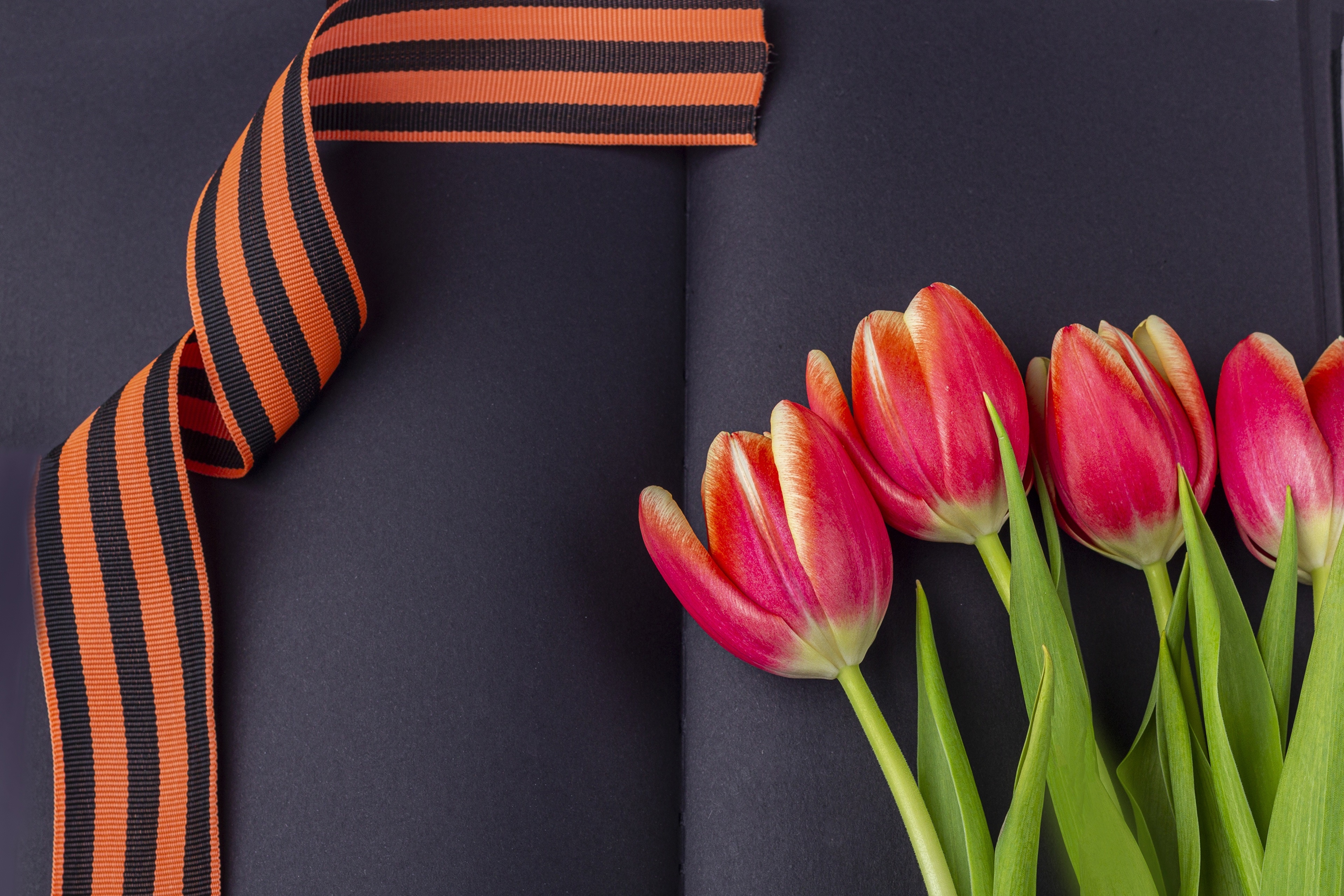 Victory Day 9 May Tulips and Ribbon HD Wallpaper