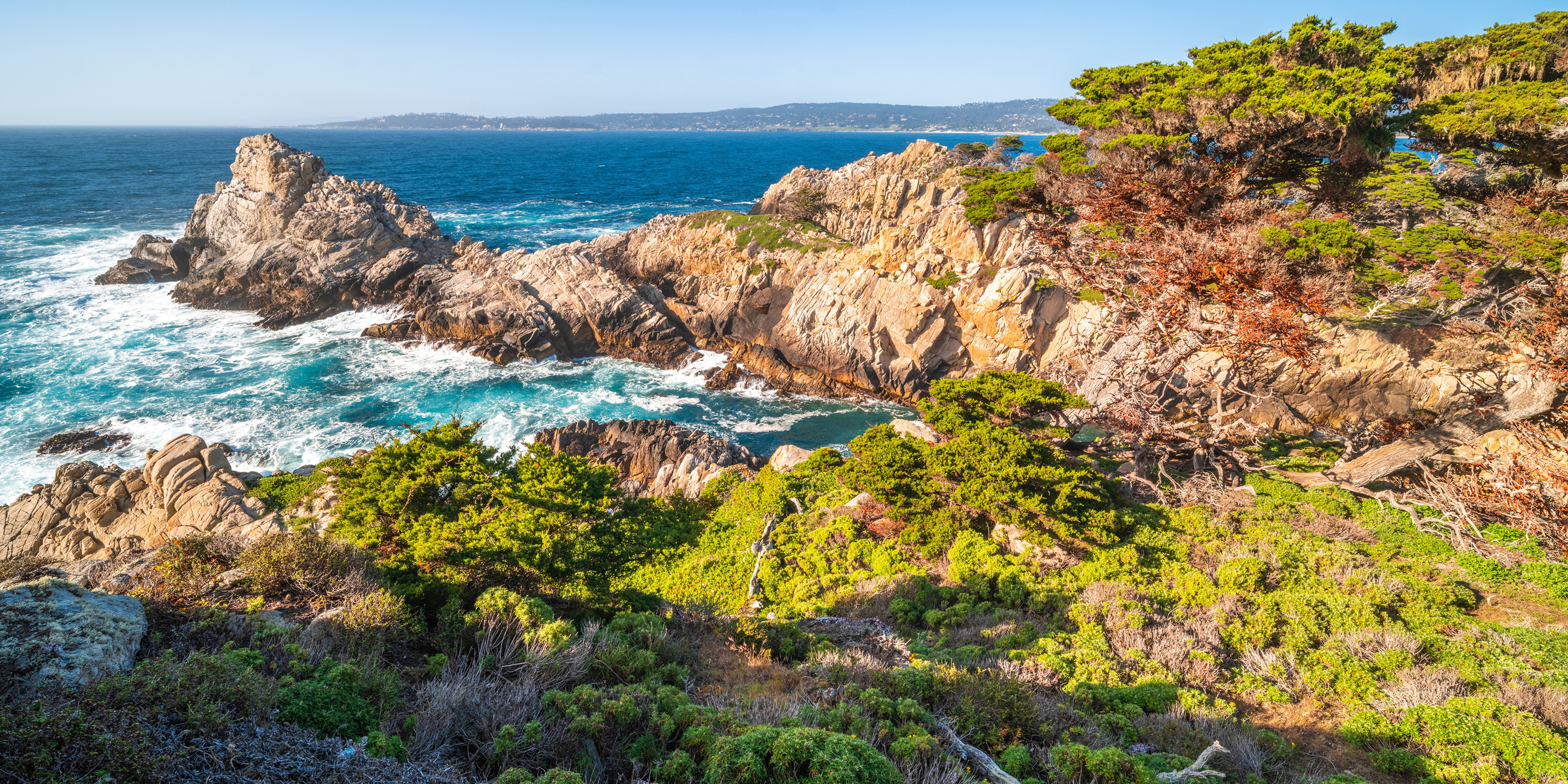 Point Lobos Coastline with Ocean and Cypress Trees HD Wallpaper