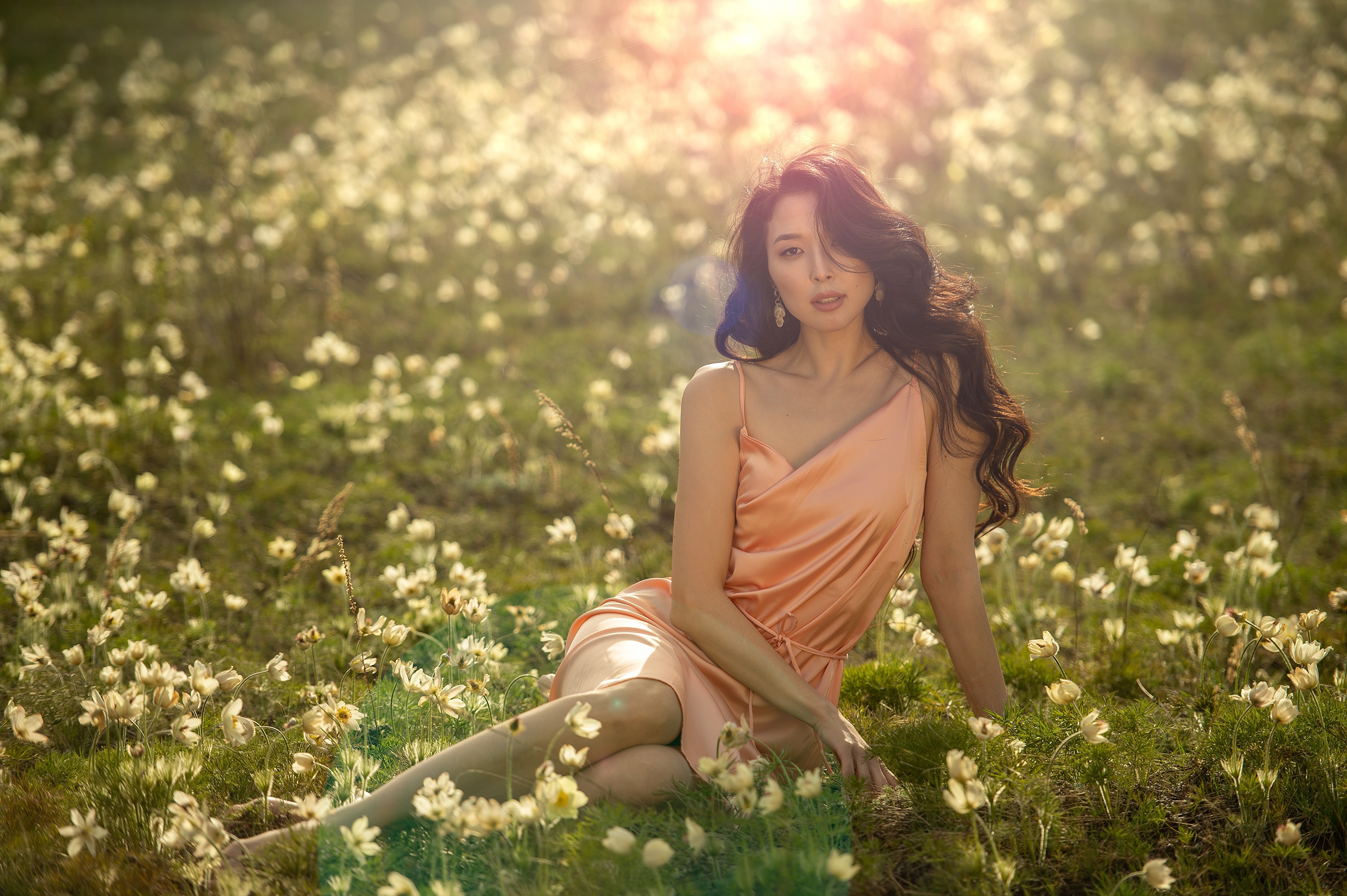 Asian woman in a dress sitting in a field of flowers HD Wallpaper