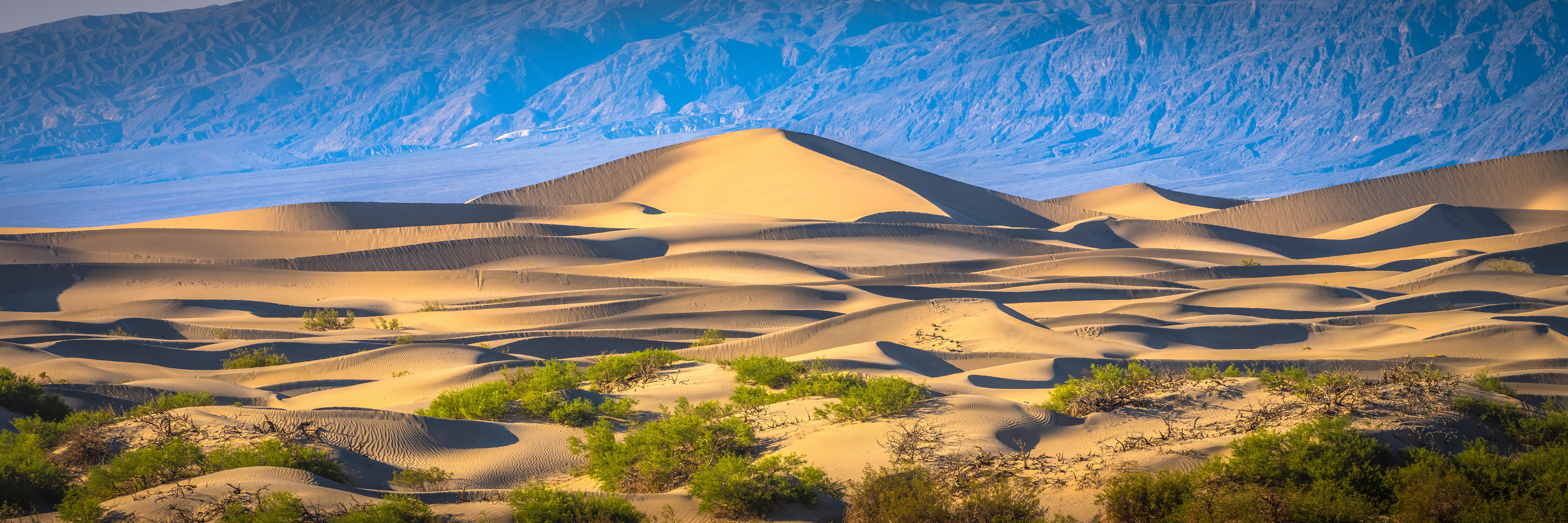 Sand dunes in Death Valley National Park, California HD Wallpaper