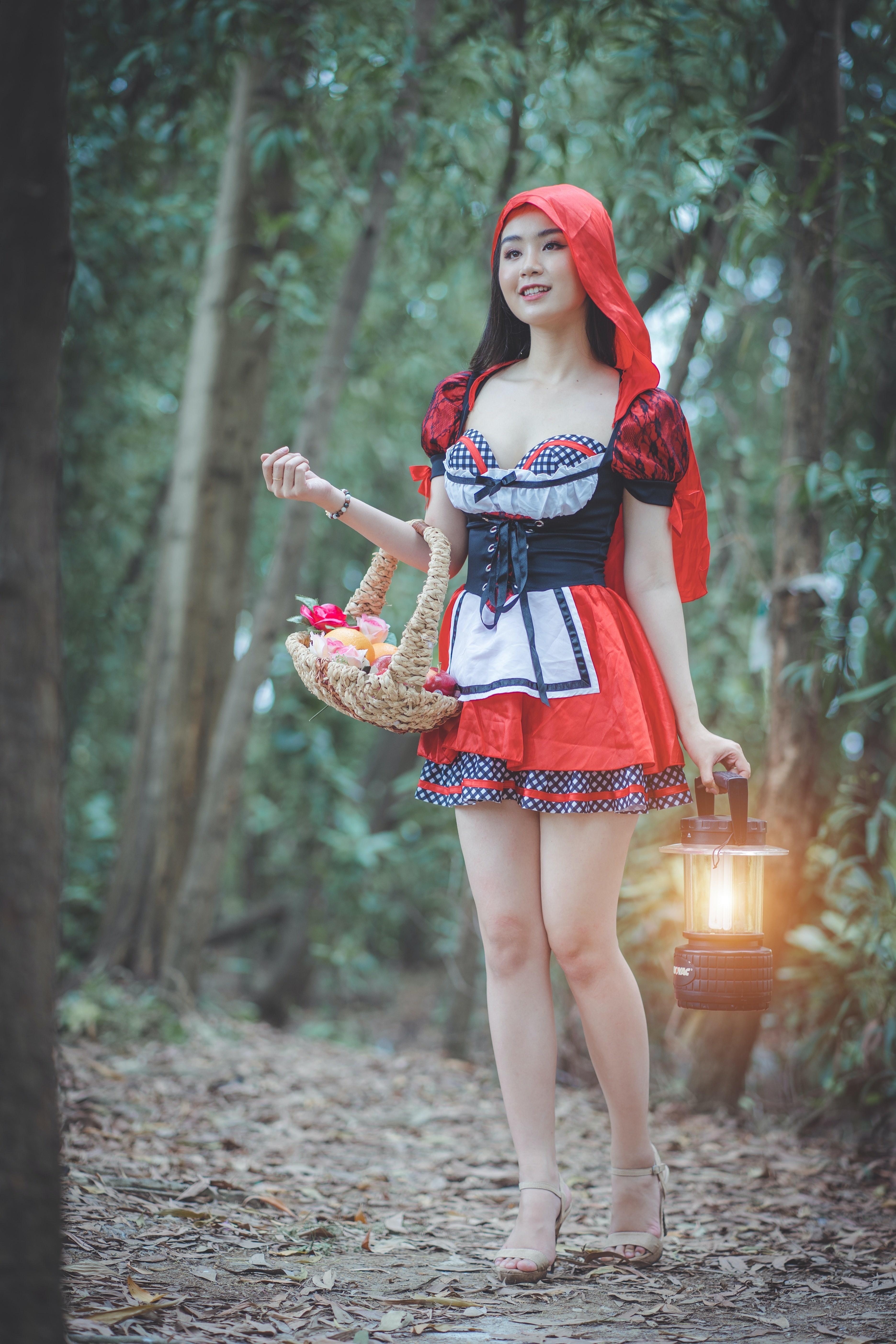 Woman in Red Riding Hood costume holding a basket and lantern HD Phone Wallpaper