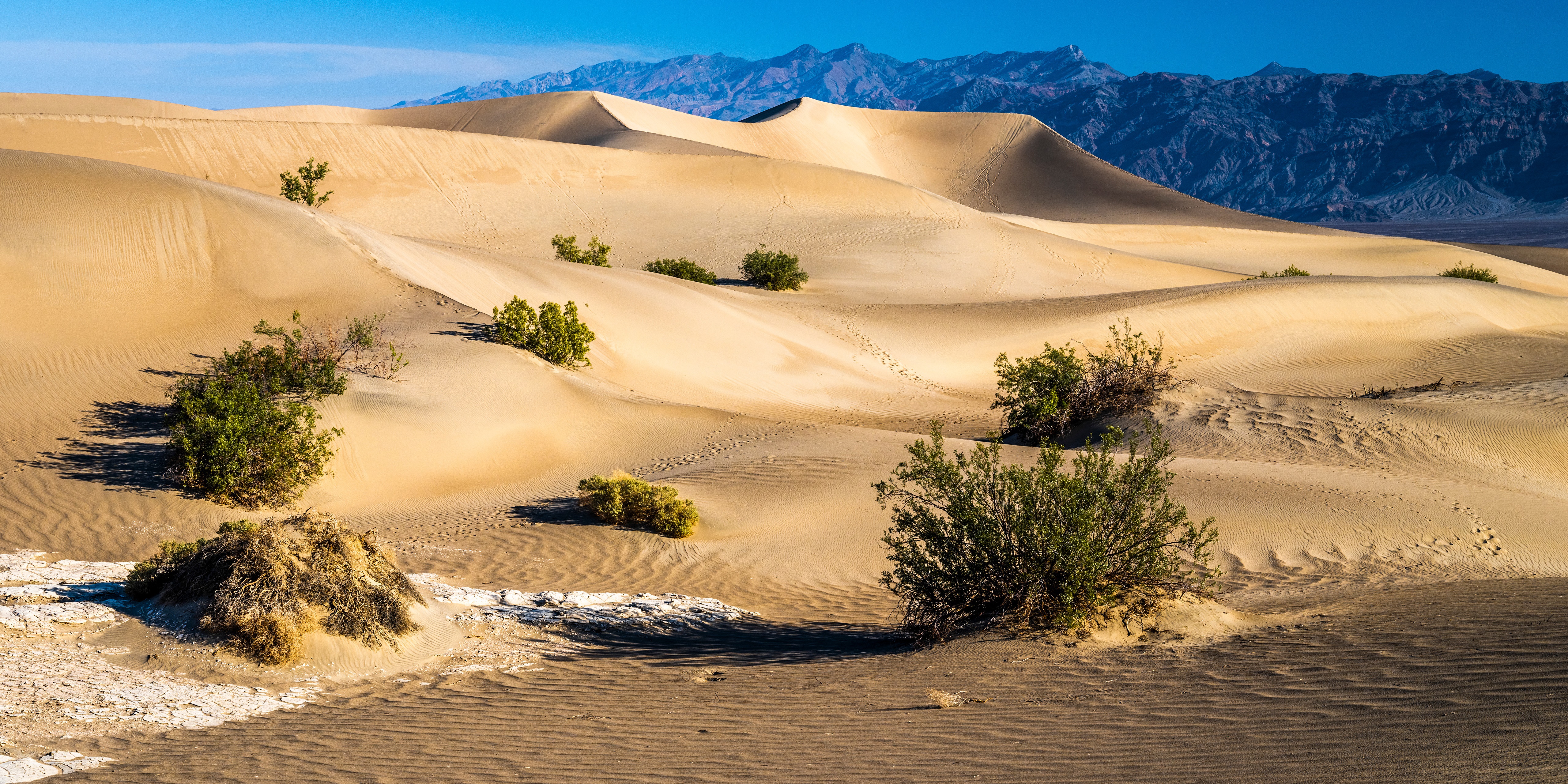 Death Valley National Park Sand Dunes USA HD Wallpaper