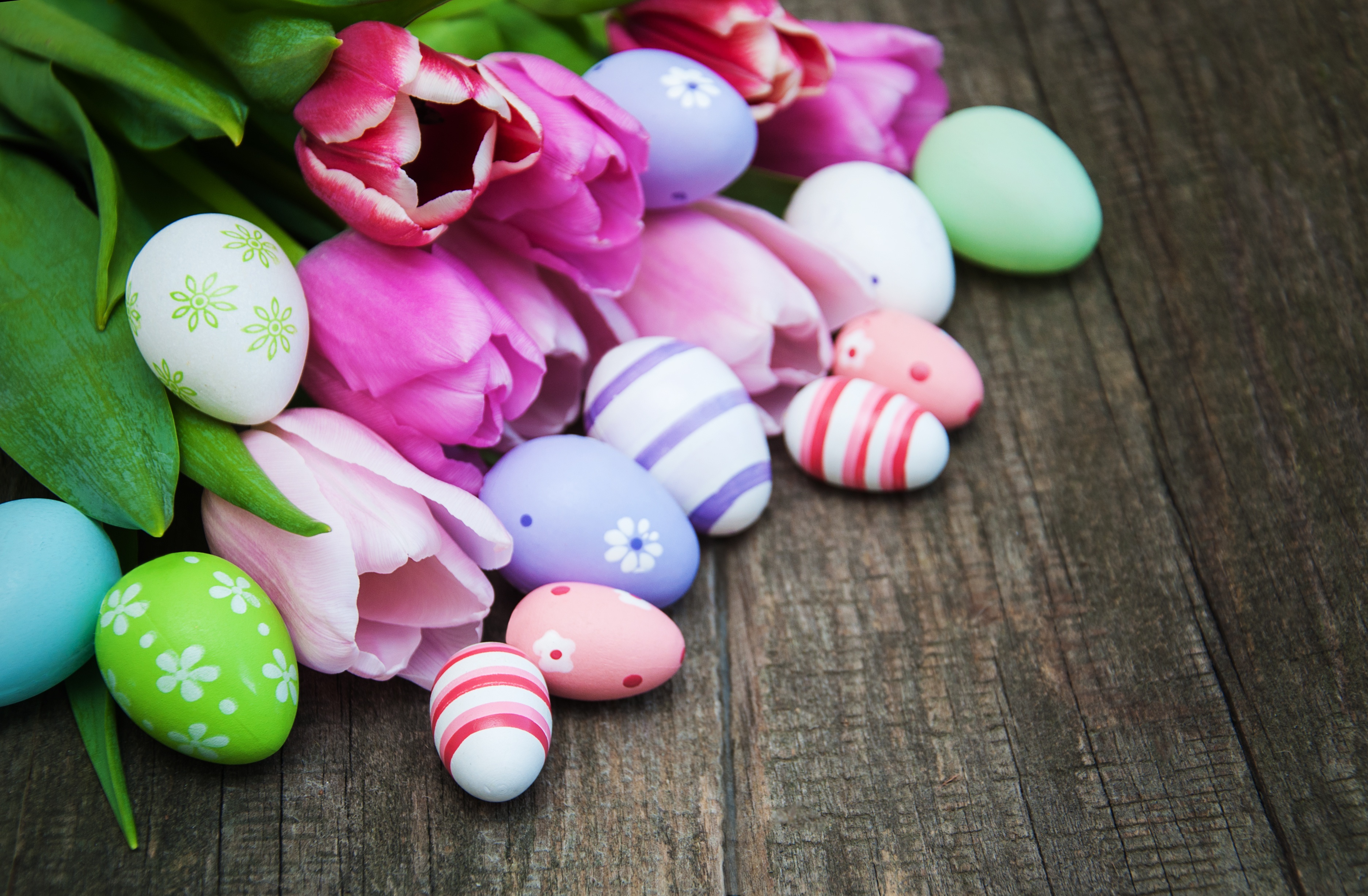 Easter tulips and decorated eggs on a wooden surface HD Wallpaper