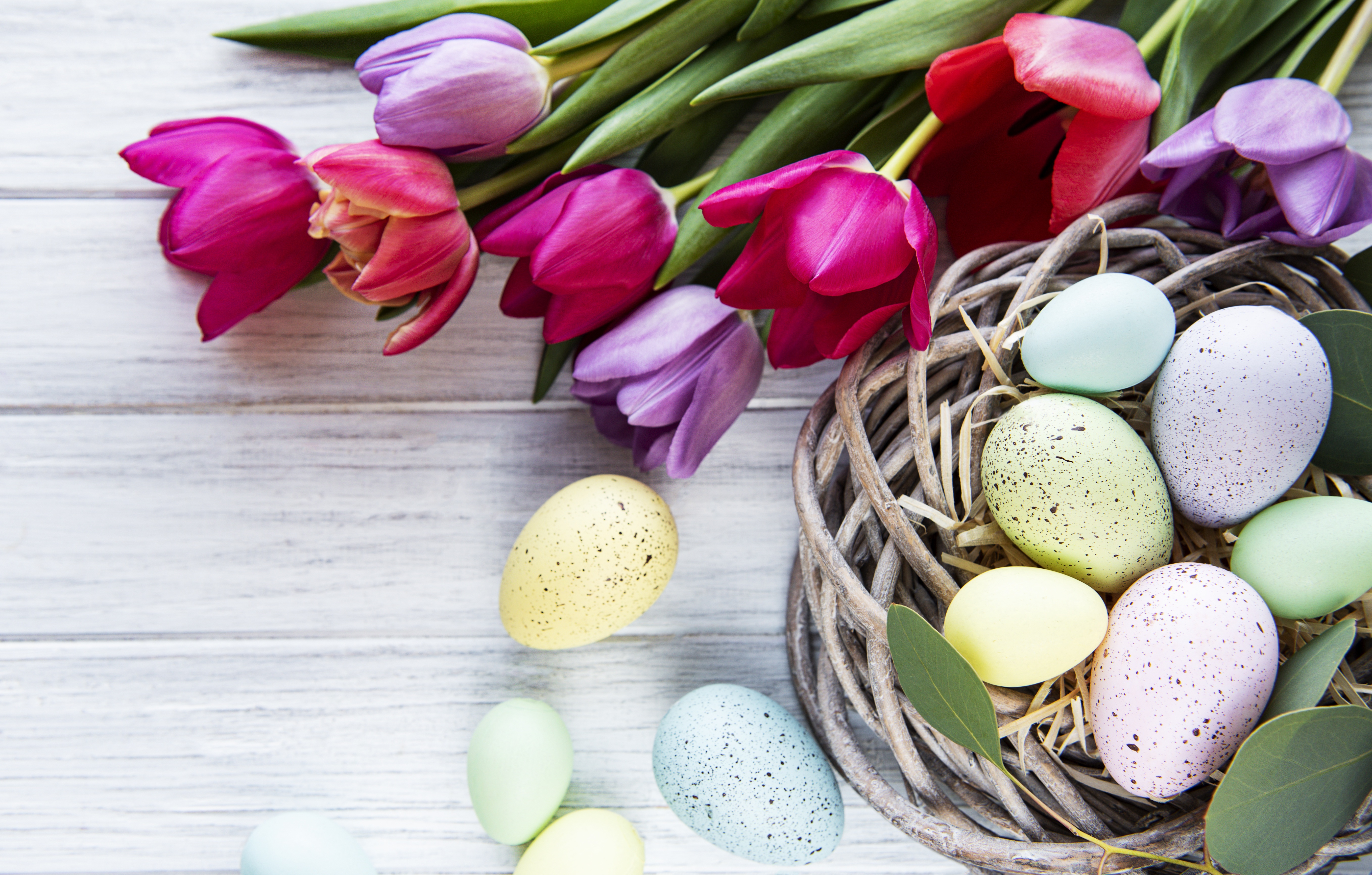 Easter Tulips and Eggs in Wicker Basket HD Wallpaper