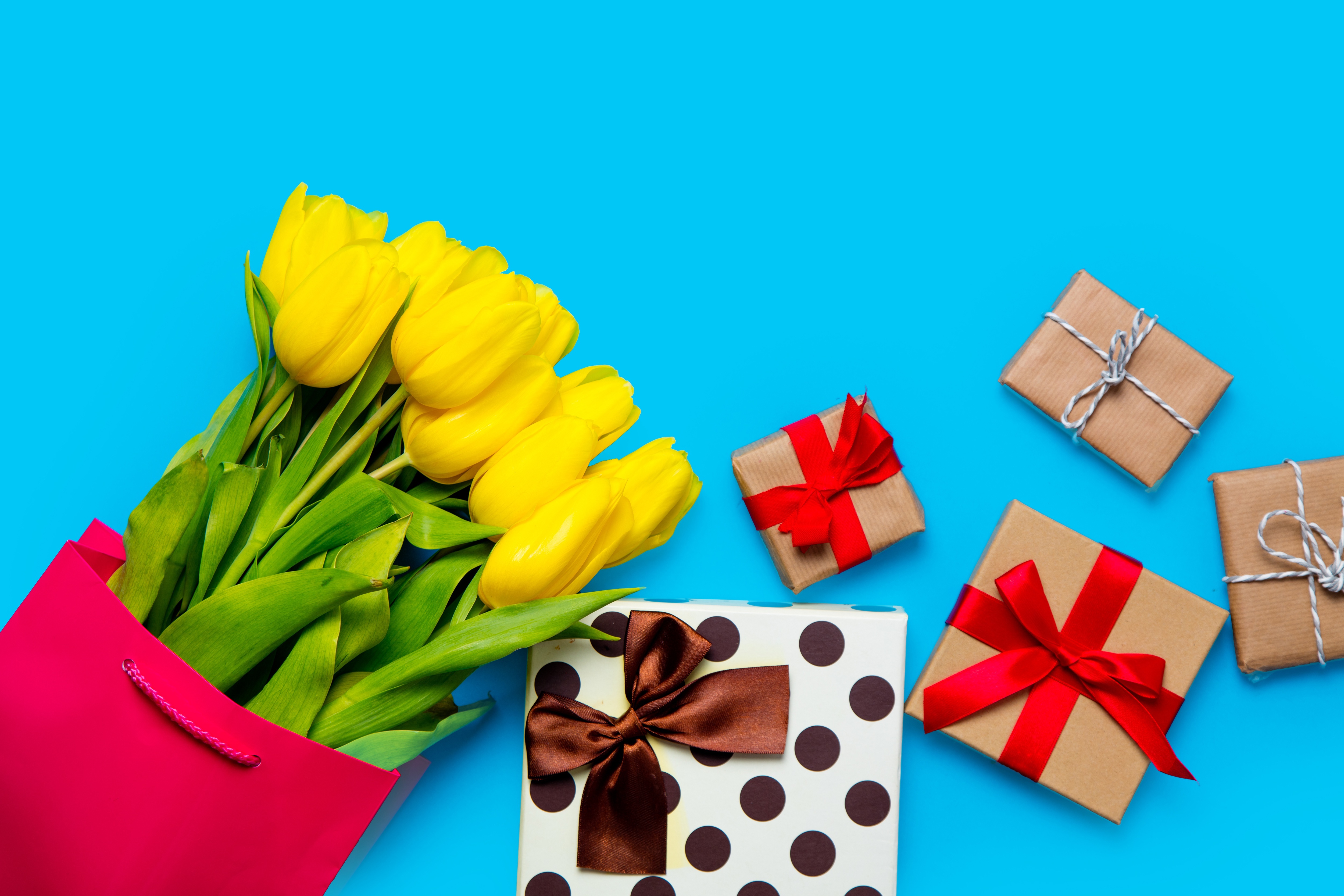 Yellow Tulips and Gifts on Blue Background HD Wallpaper