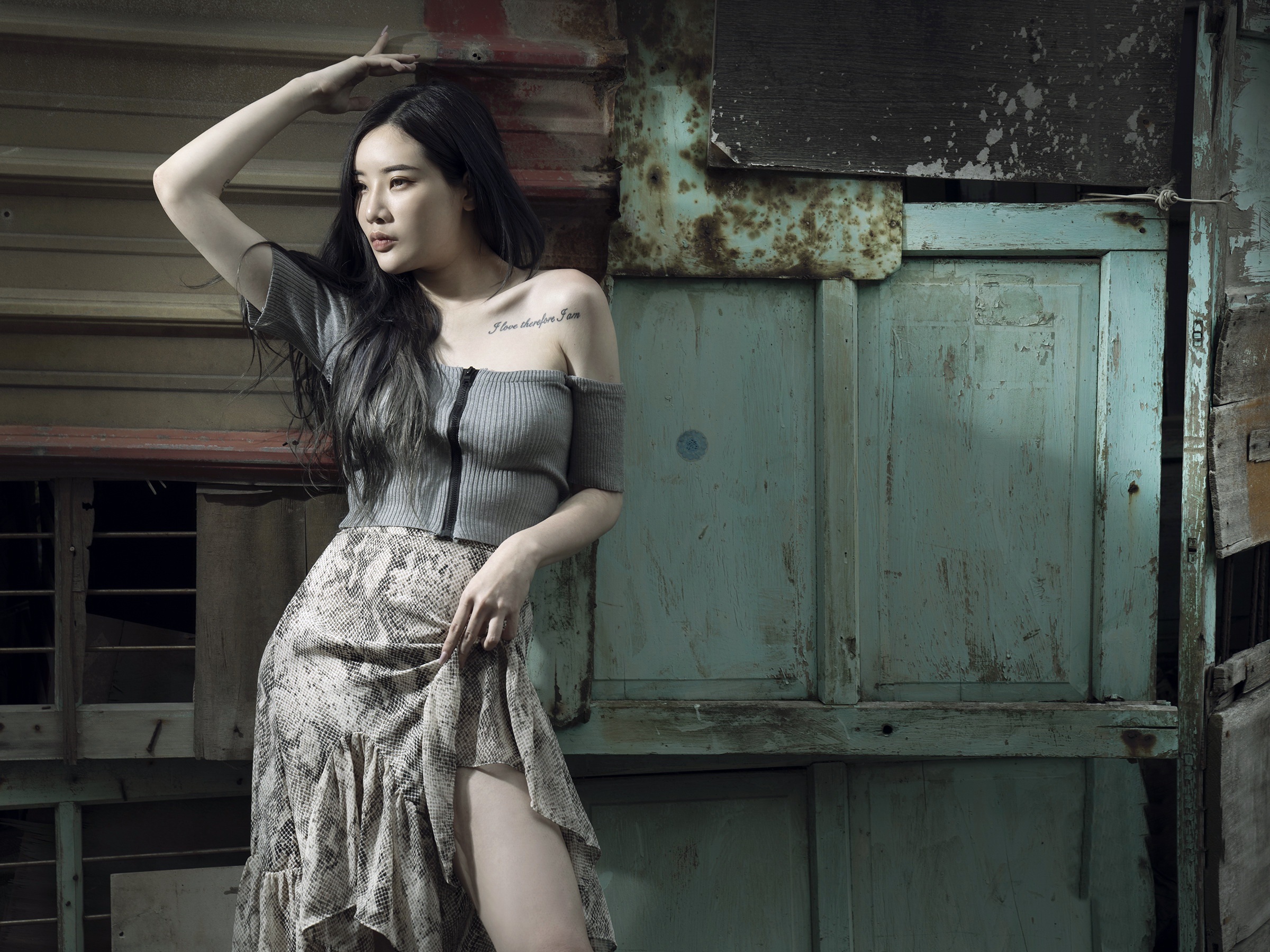 Asian woman in off-the-shoulder top and snake print skirt HD Wallpaper