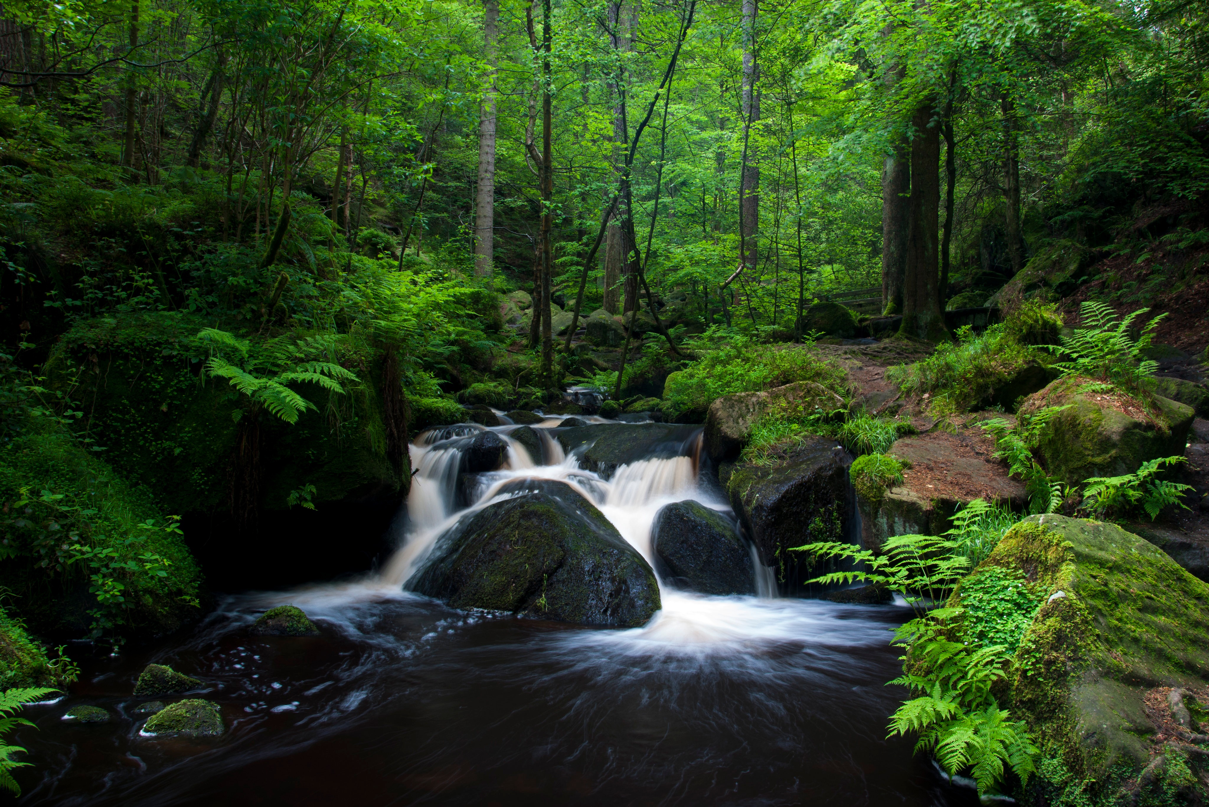 Waterfall in a lush green forest in Sheffield, England HD Wallpaper