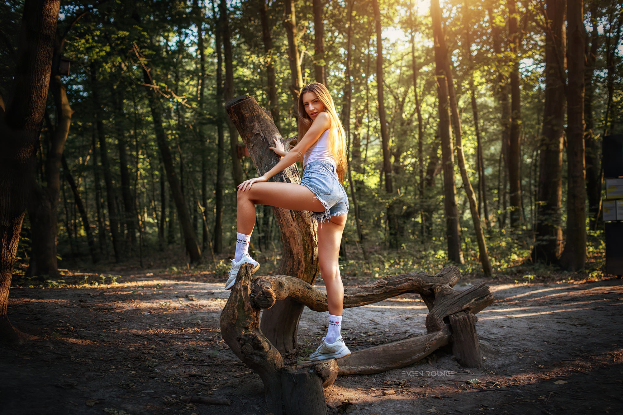 Woman posing on a log in a forest HD Wallpaper