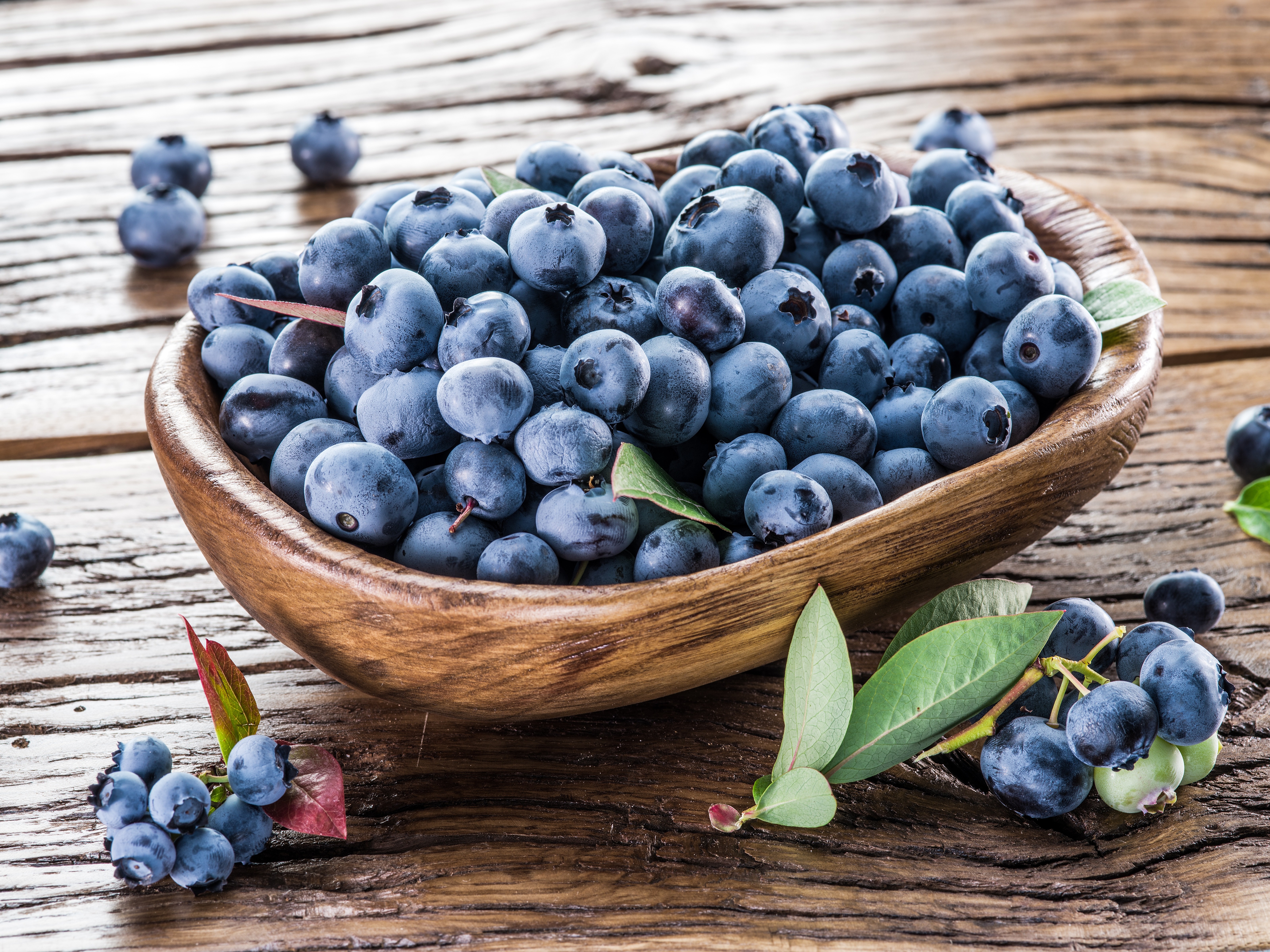 Blueberries in a wooden bowl HD Wallpaper