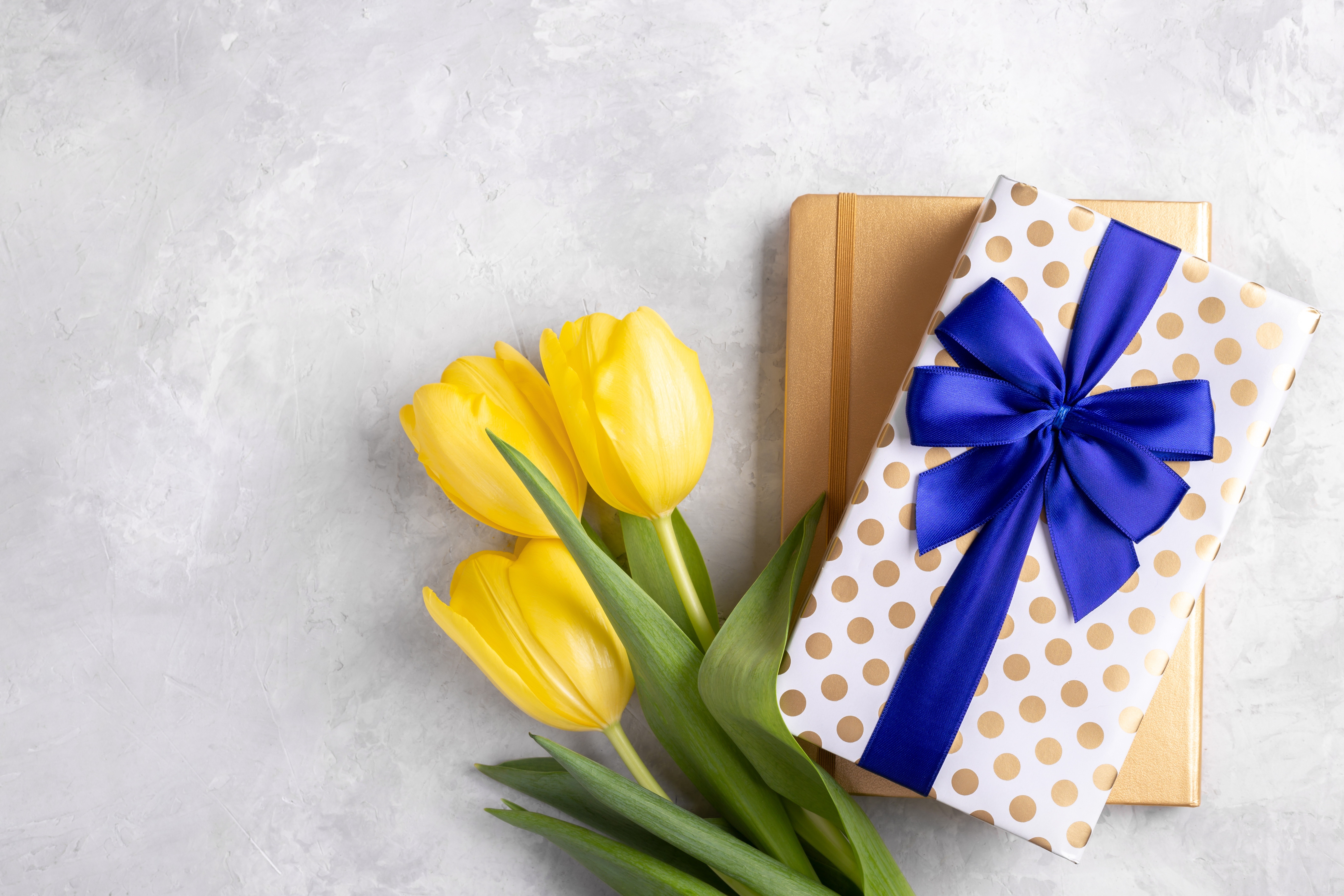 Yellow Tulips and Gift Box on a Textured Surface HD Wallpaper