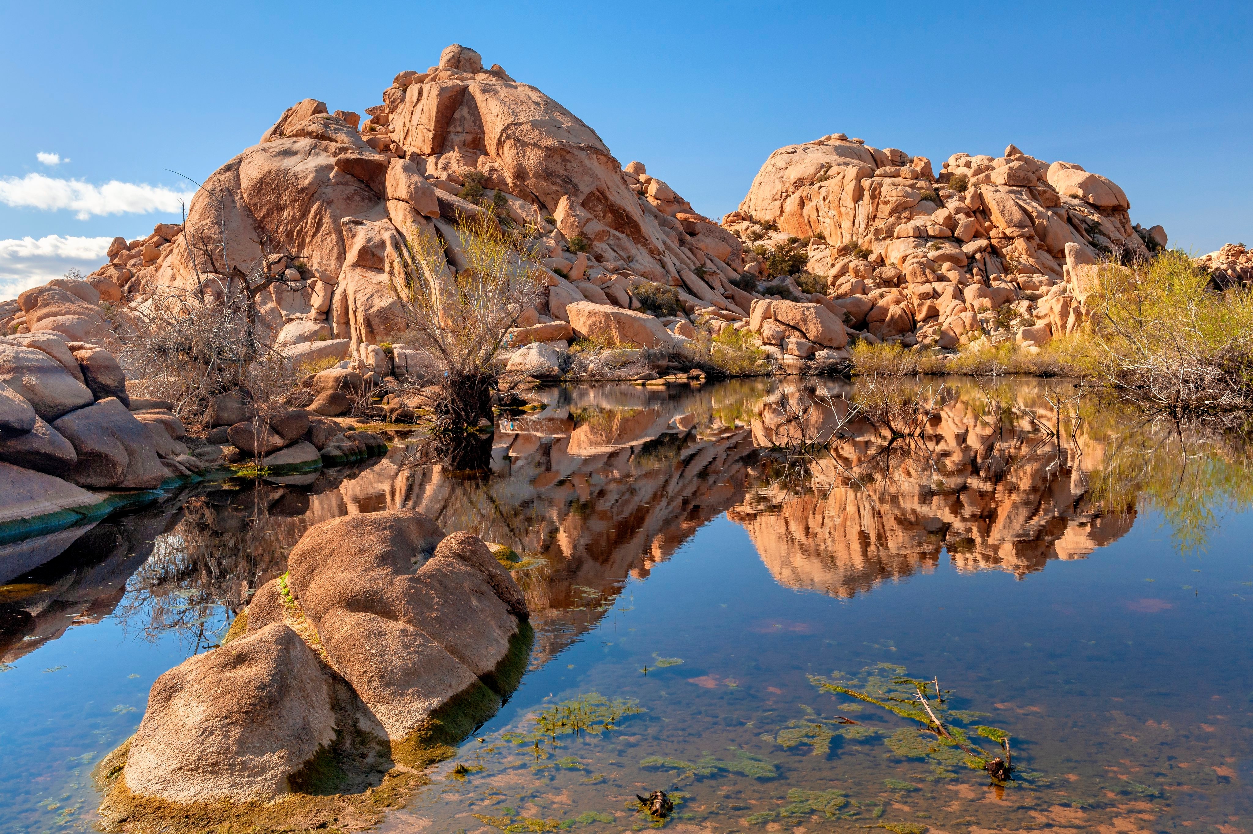 Joshua Tree National Park Lake Reflection HD Wallpaper