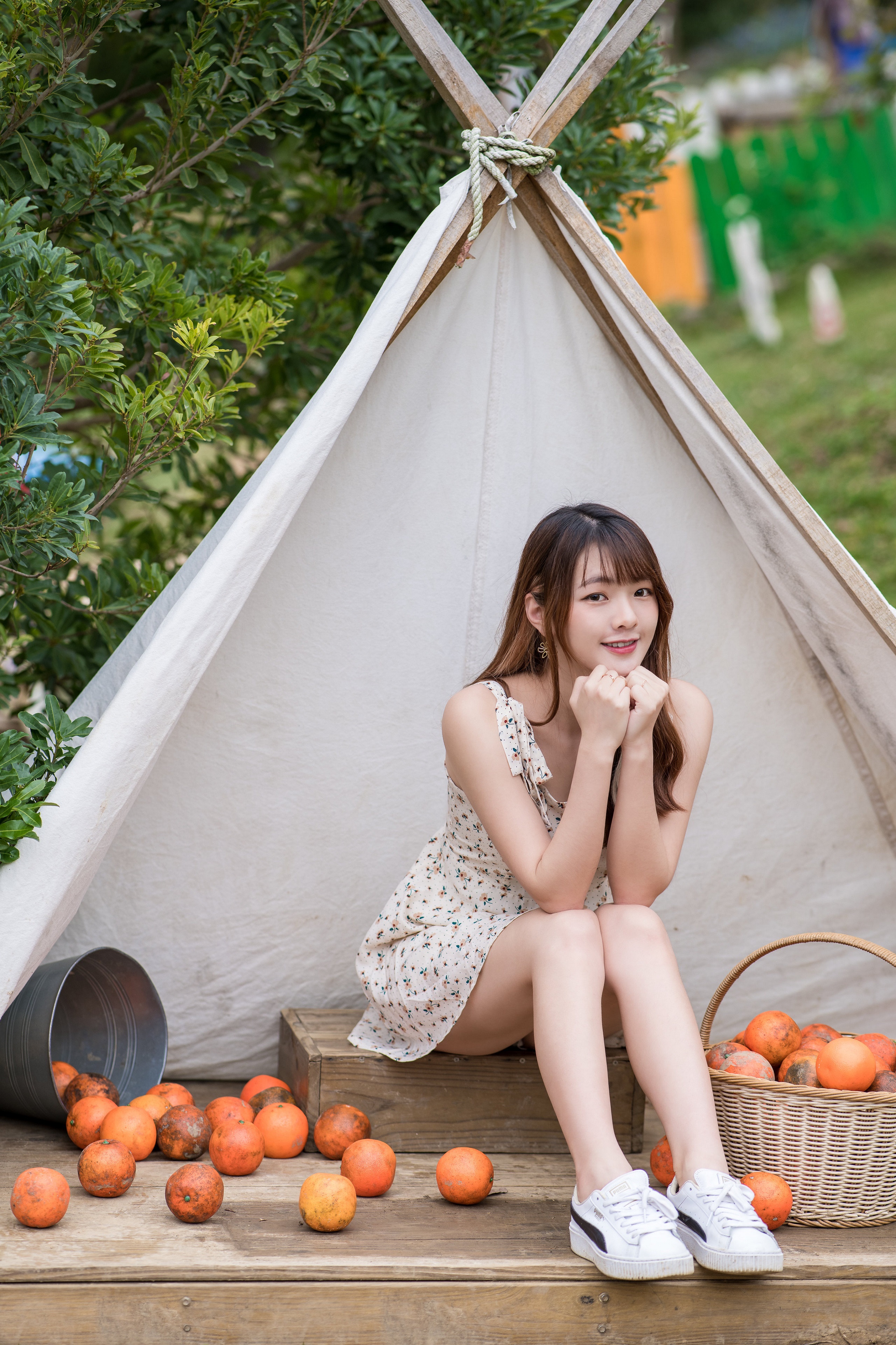 Asian woman sitting near a tent with oranges HD Phone Wallpaper