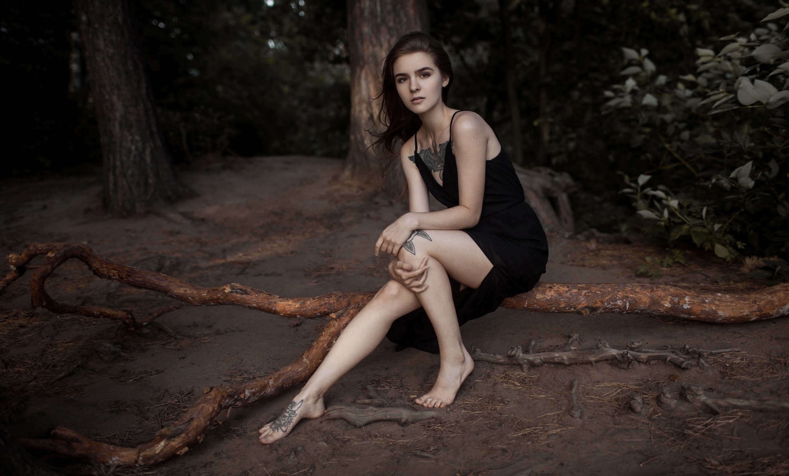 Brunette girl with tattoos sitting on a log in the woods HD Wallpaper