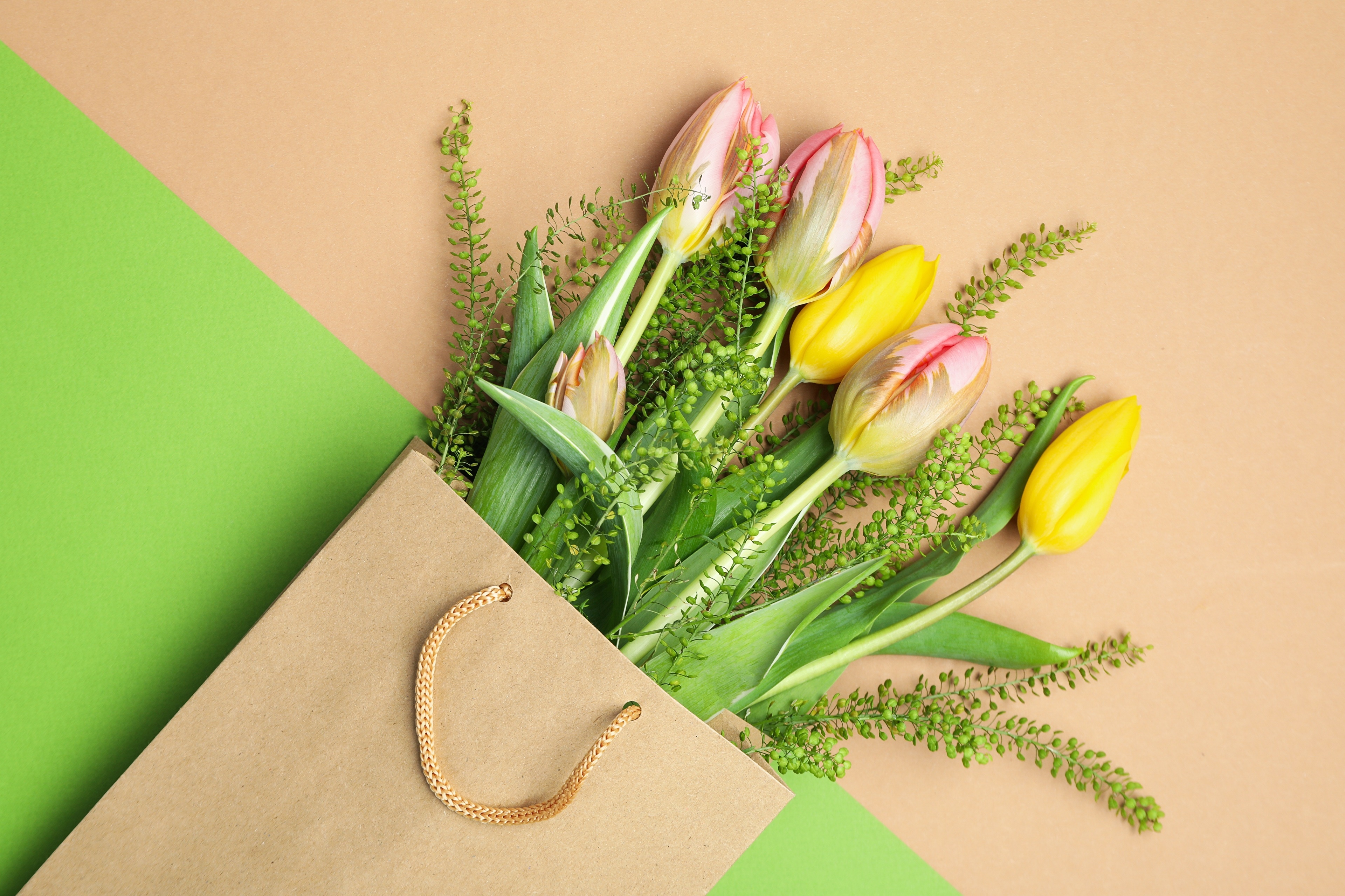 Tulips in a paper bag HD Wallpaper