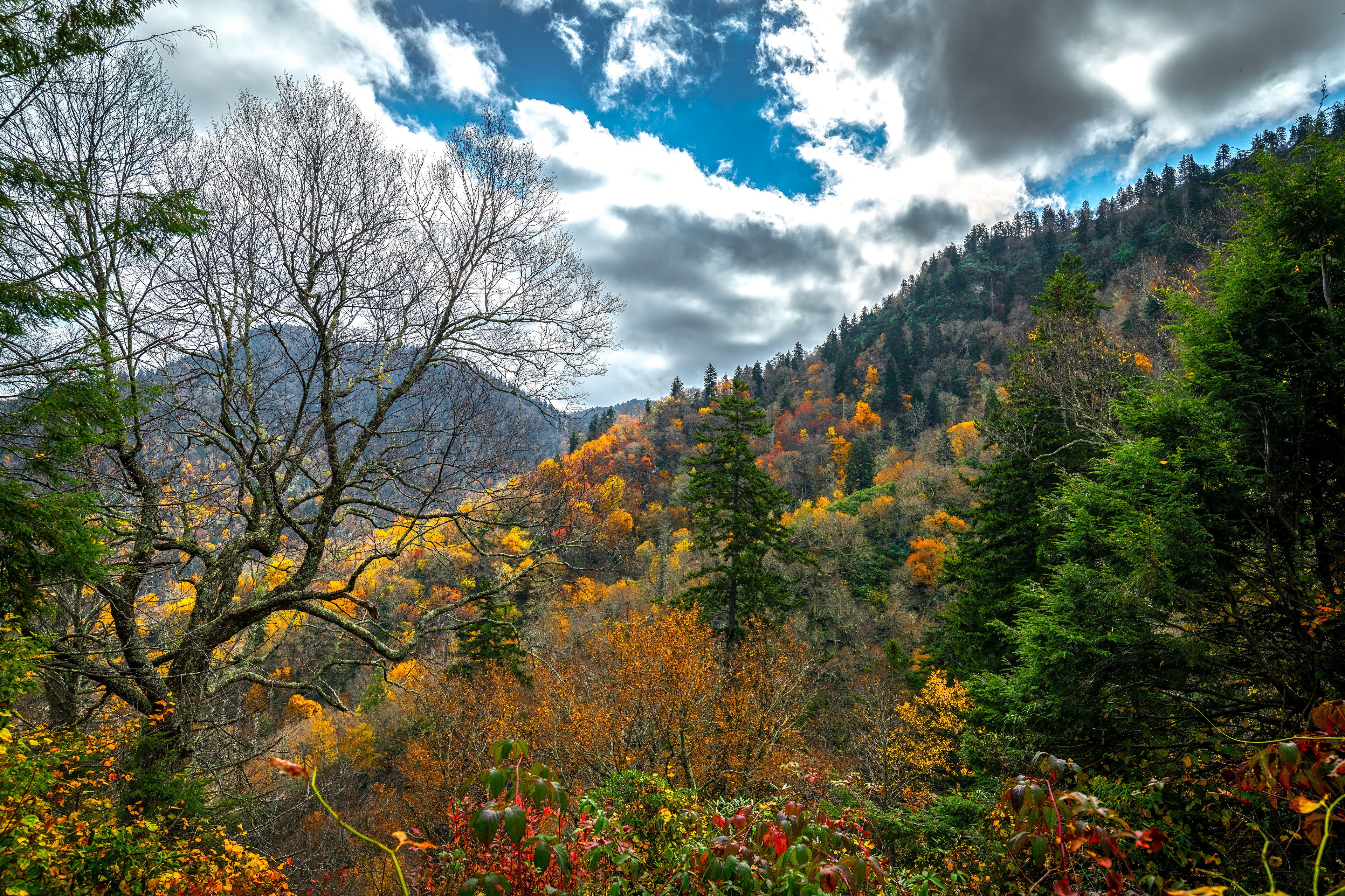 Great Smoky Mountains National Park Autumn Landscape HD Wallpaper