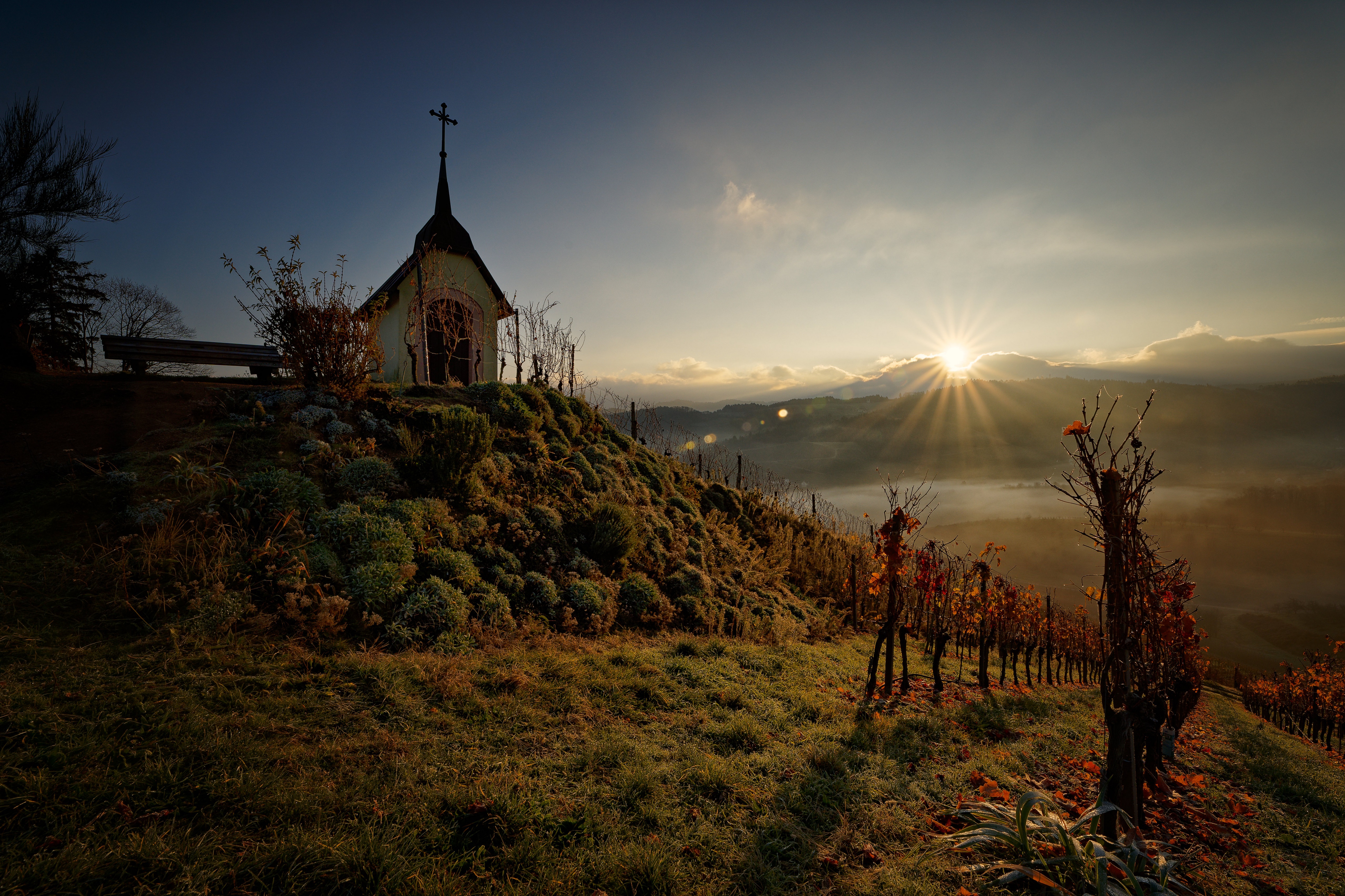 Chapel and vineyard at sunrise in Nussbach, Germany HD Wallpaper