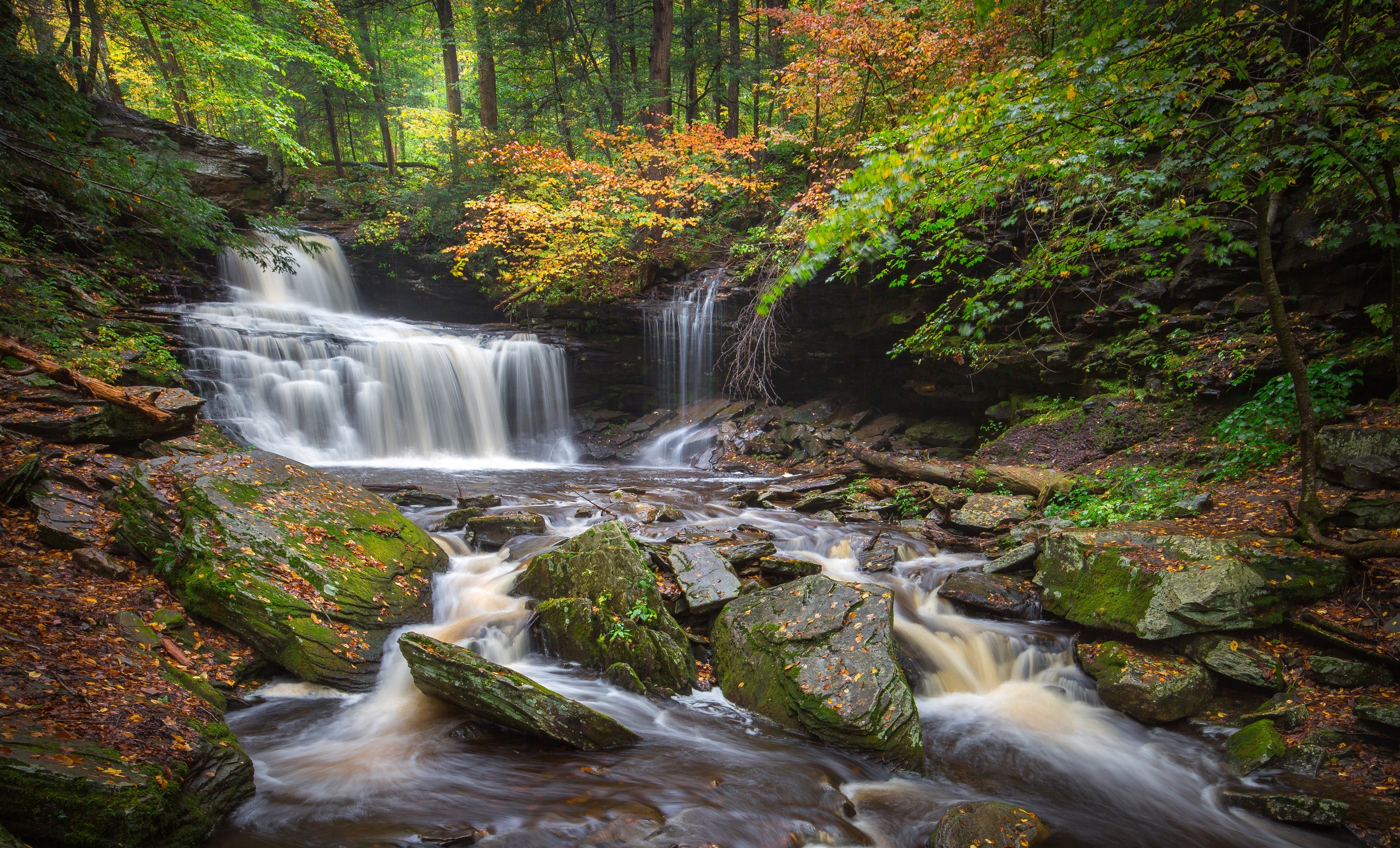 R.B. Ricketts Falls in Ricketts Glen State Park, Pennsylvania HD Wallpaper