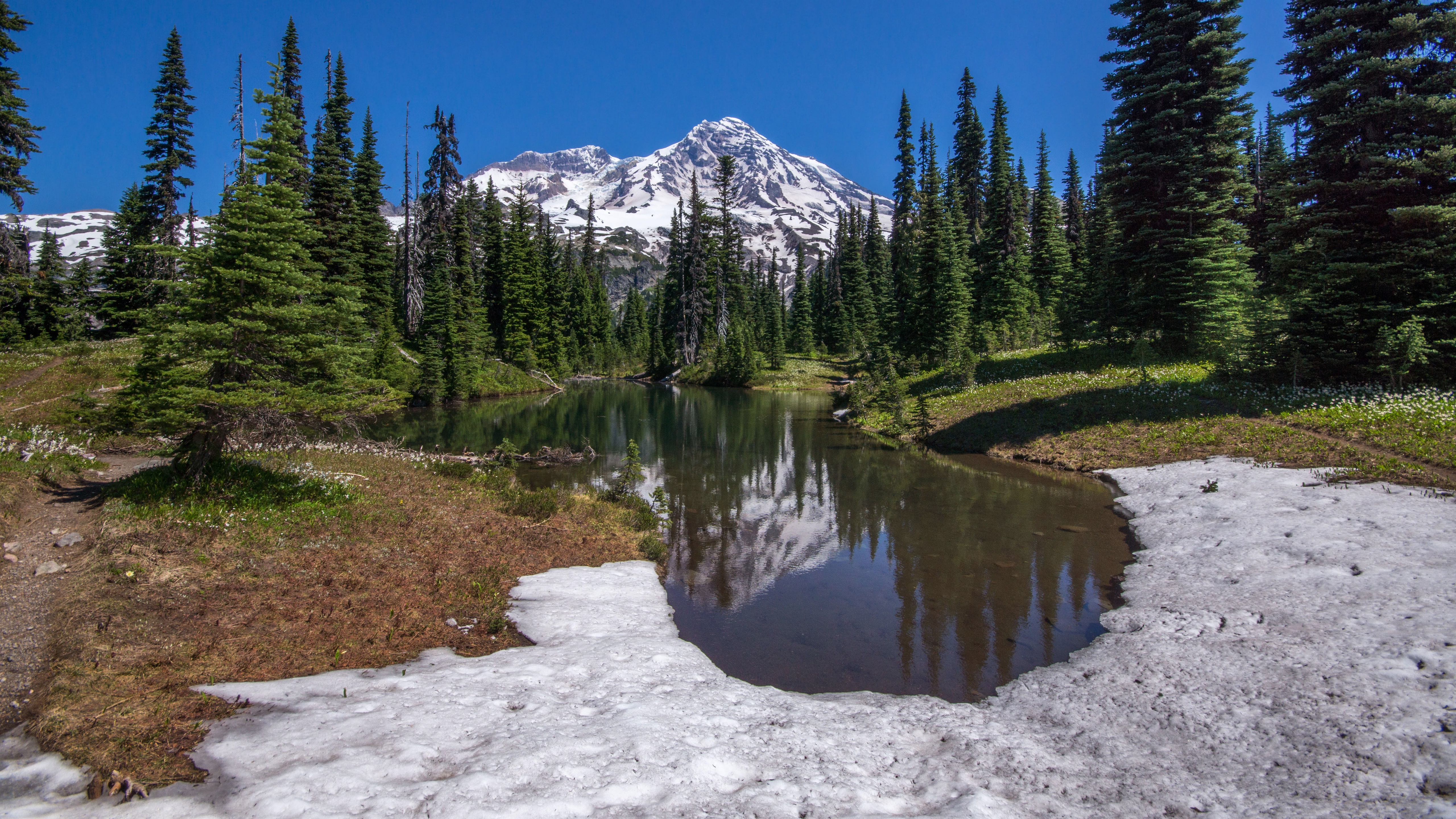 Mount Rainier National Park Lake with Snow and Trees HD Wallpaper