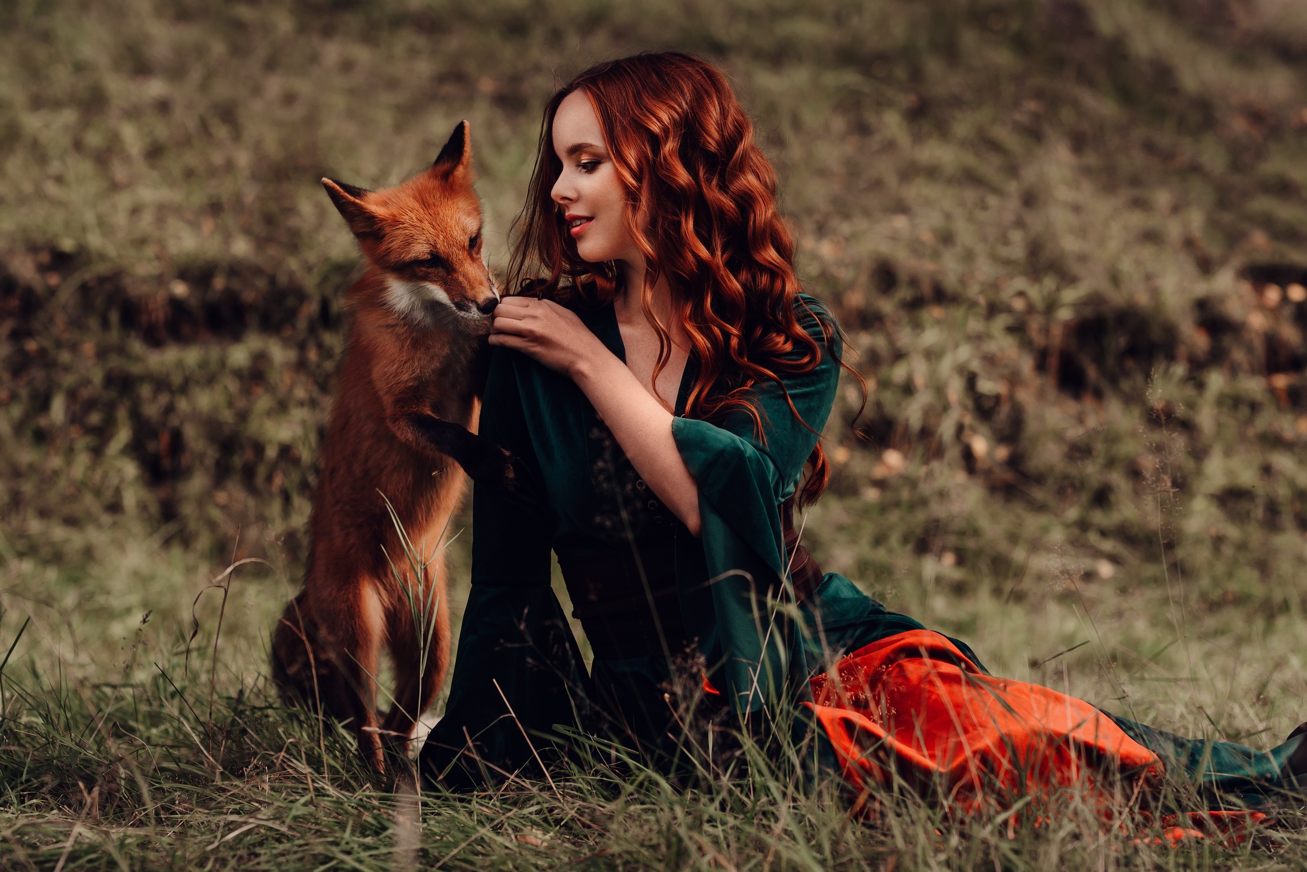 Natalia Andreeva with a fox in the grass HD Wallpaper