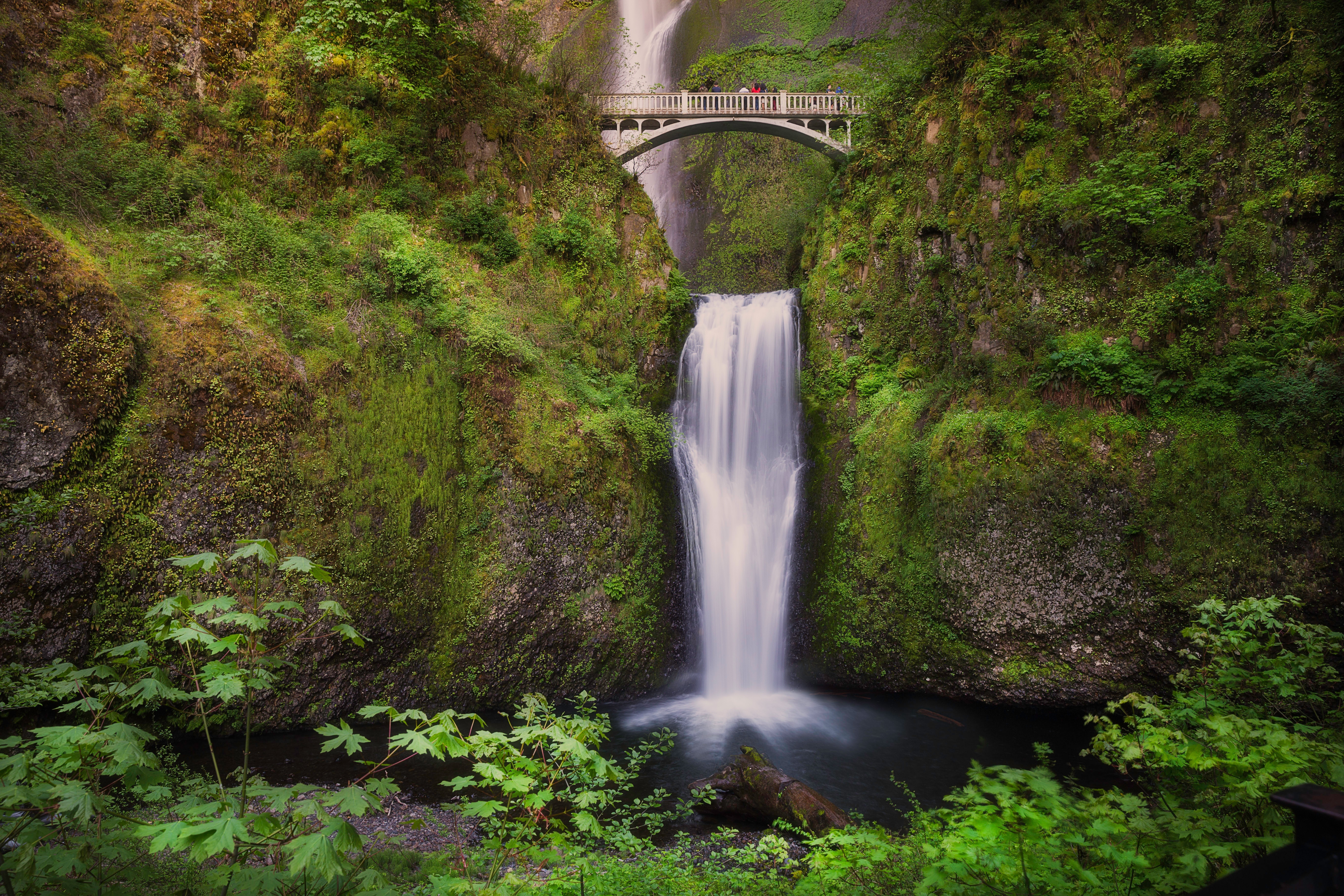 Multnomah Falls and Benson Bridge in Oregon HD Wallpaper