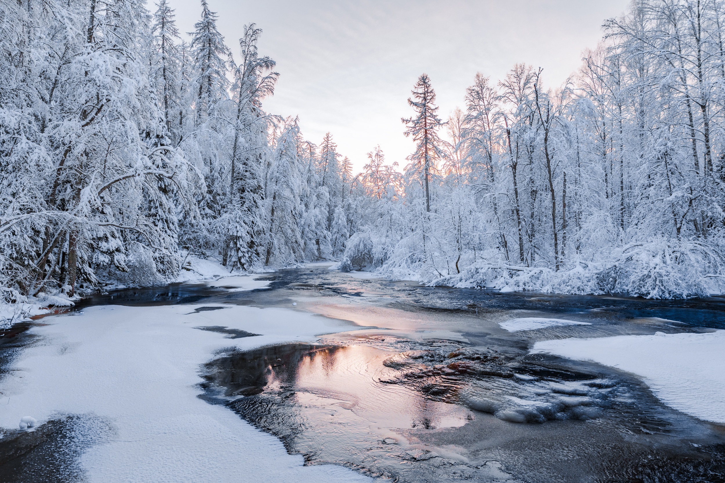 Winter sunrise over Roshchinka River in Lindulovskaya Grove, Russia HD Wallpaper