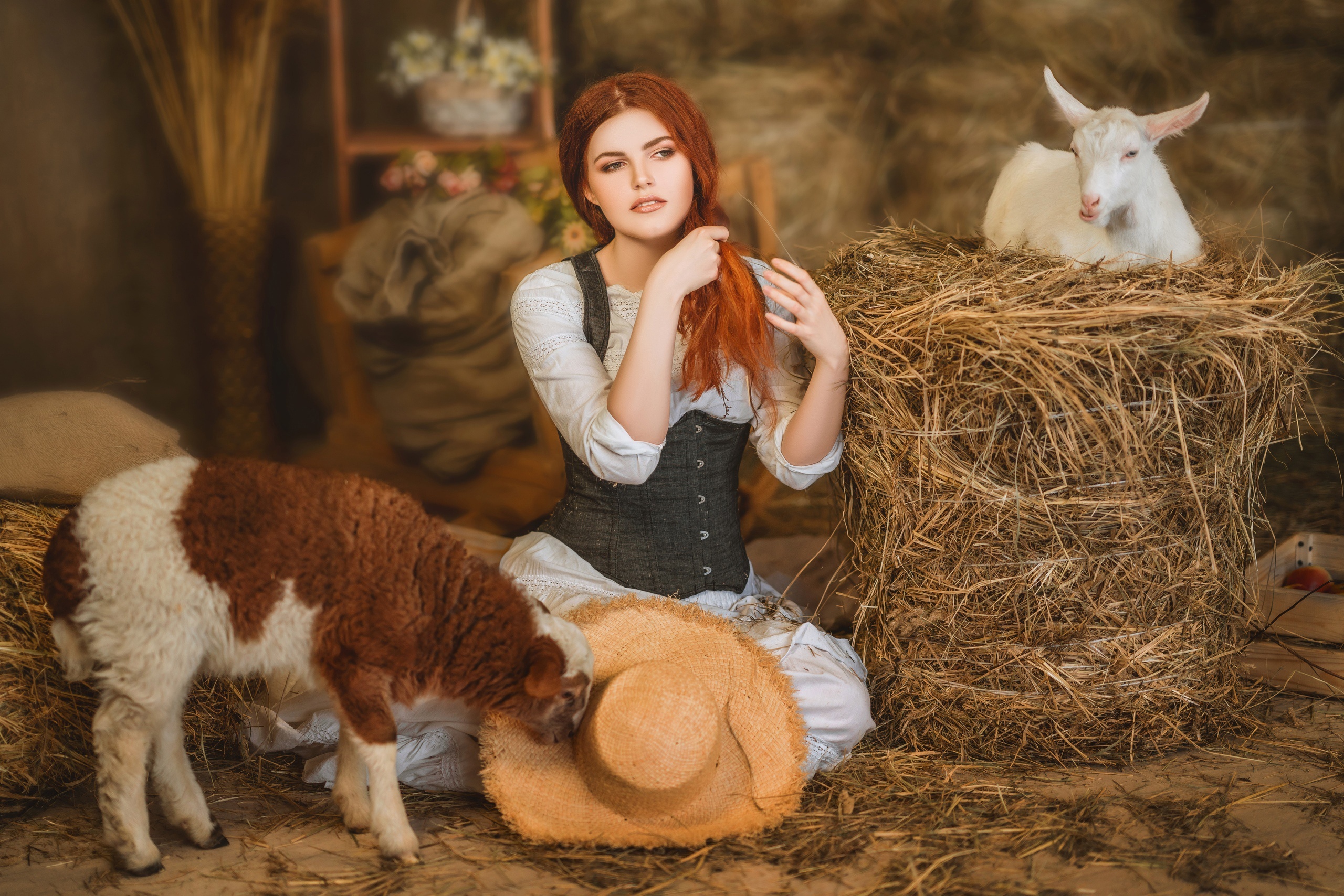 Redhead girl with sheep and goat in a barn HD Wallpaper