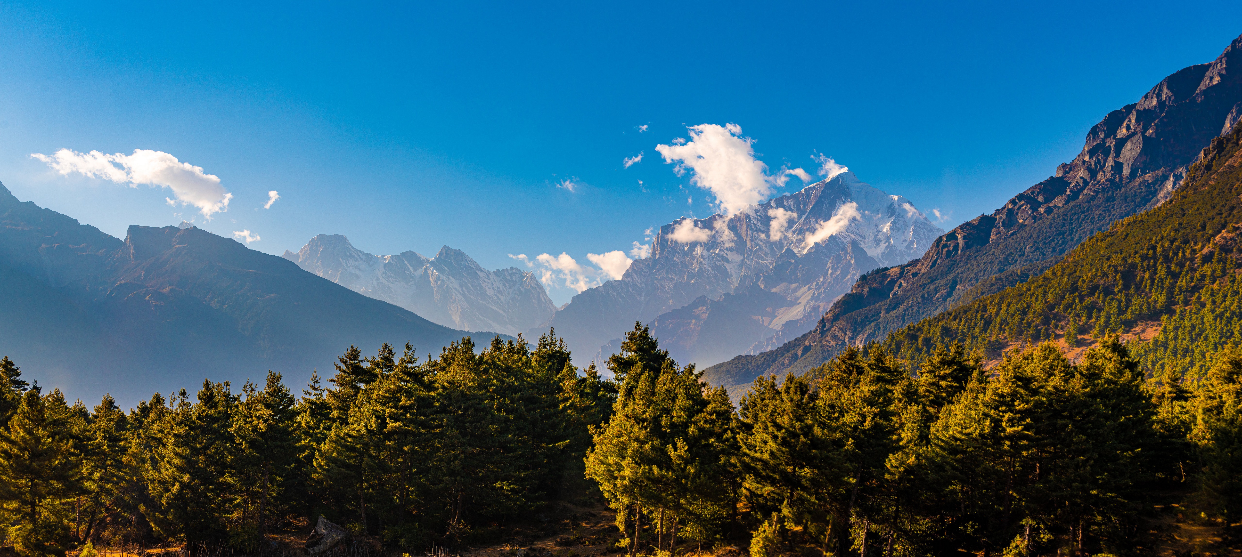 Mountains and Trees in Tibet, China HD Wallpaper