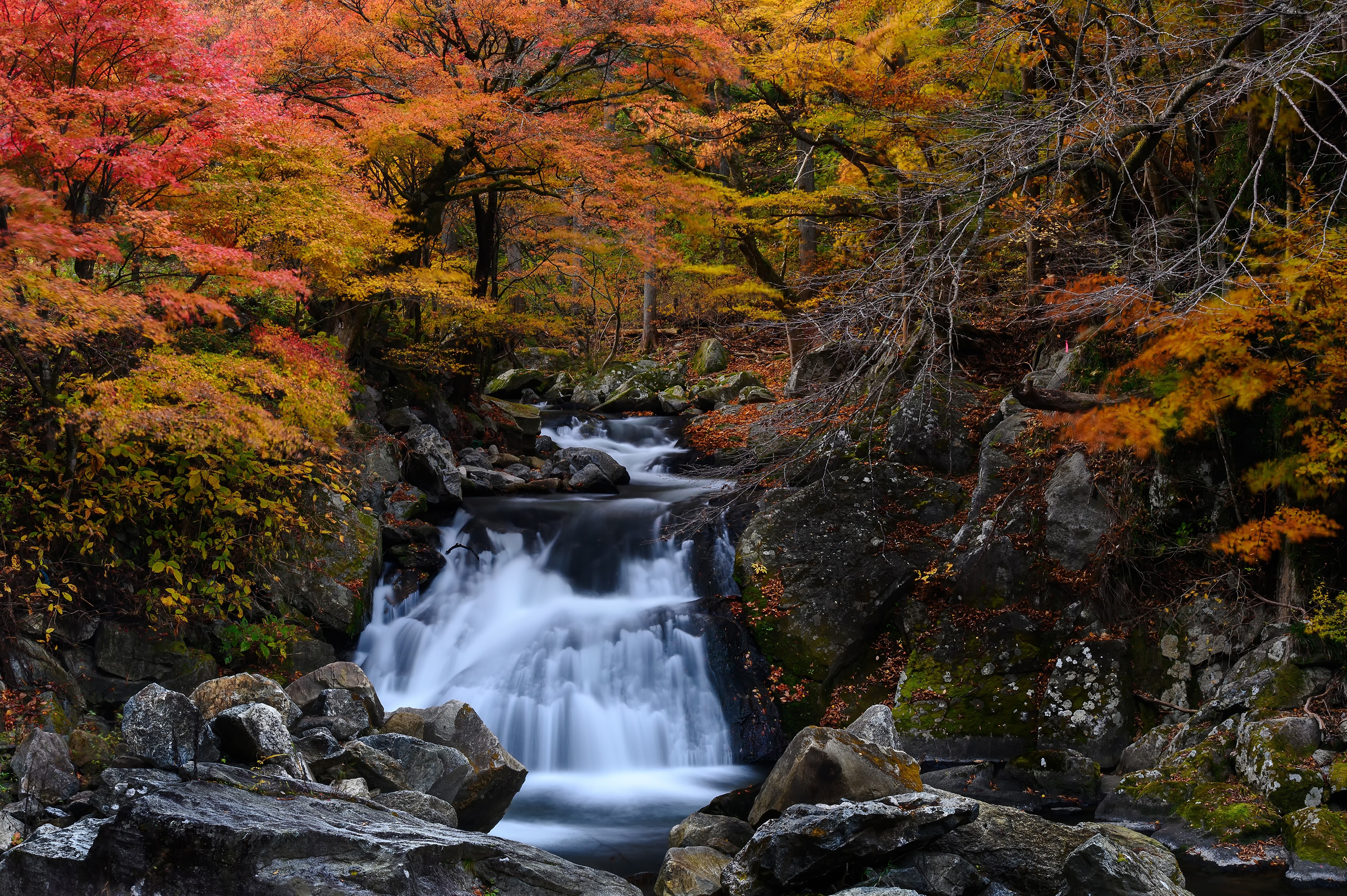 Autumn waterfall with colorful trees and rocks HD Wallpaper