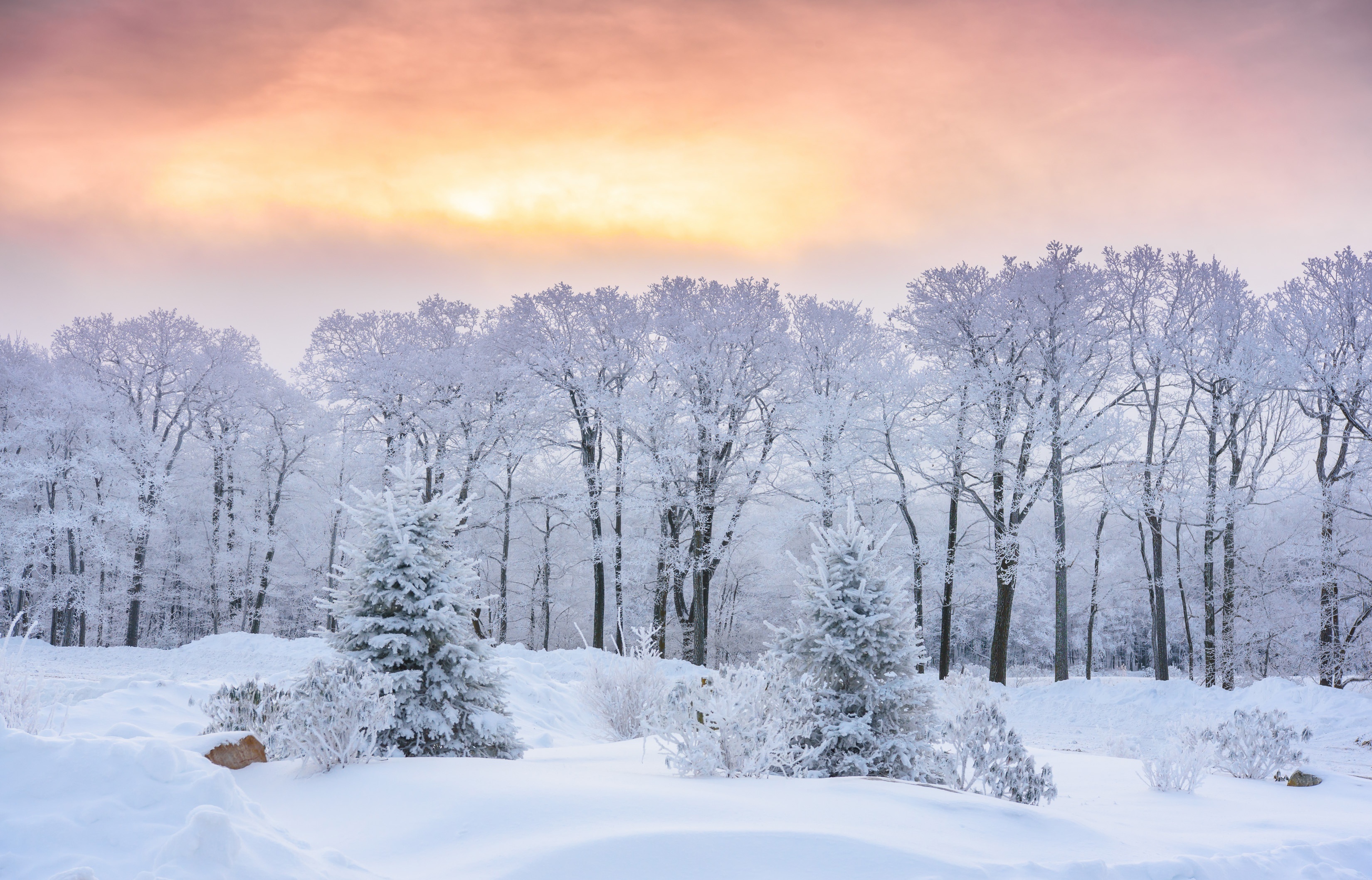 Winter sunrise over Laurel Mountain State Park, Pennsylvania HD Wallpaper