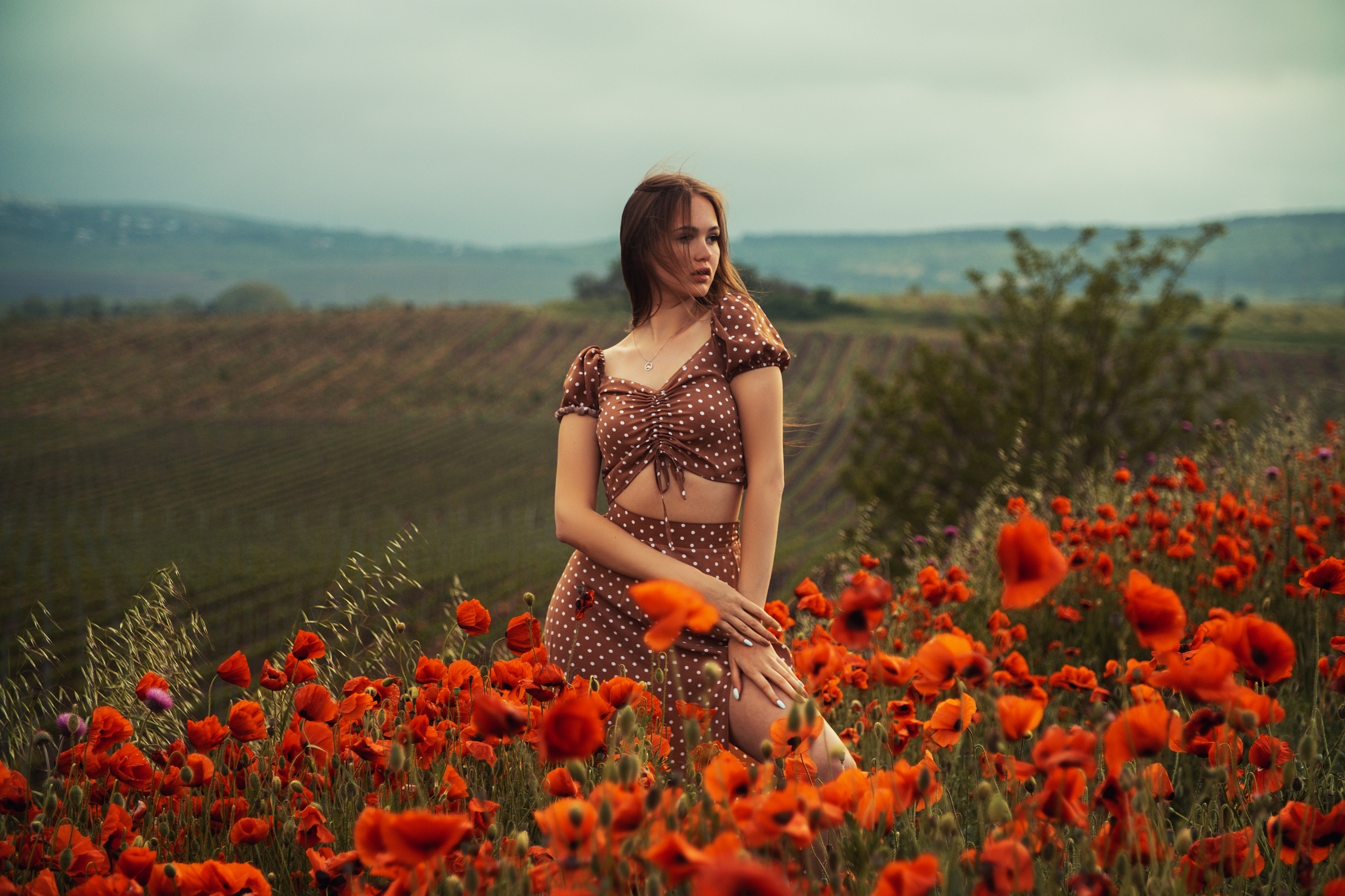 Woman in polka dot dress in a field of poppies HD Wallpaper