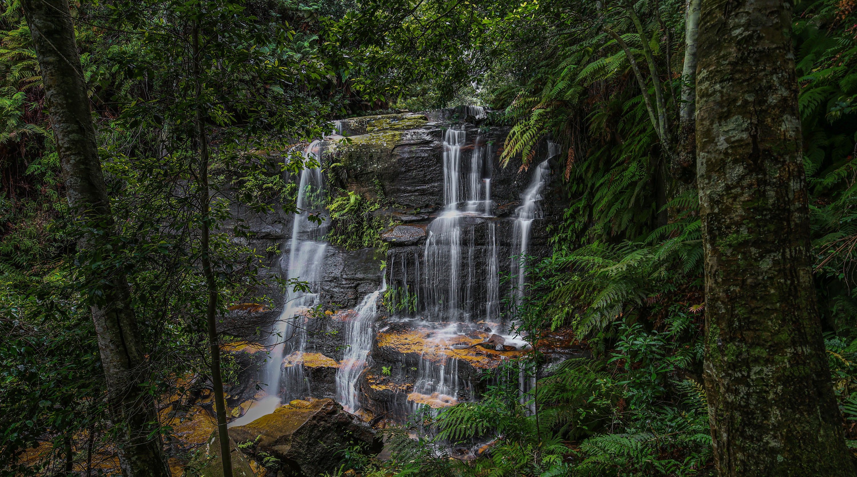 Waterfall in Blue Mountains National Park, Australia HD Wallpaper