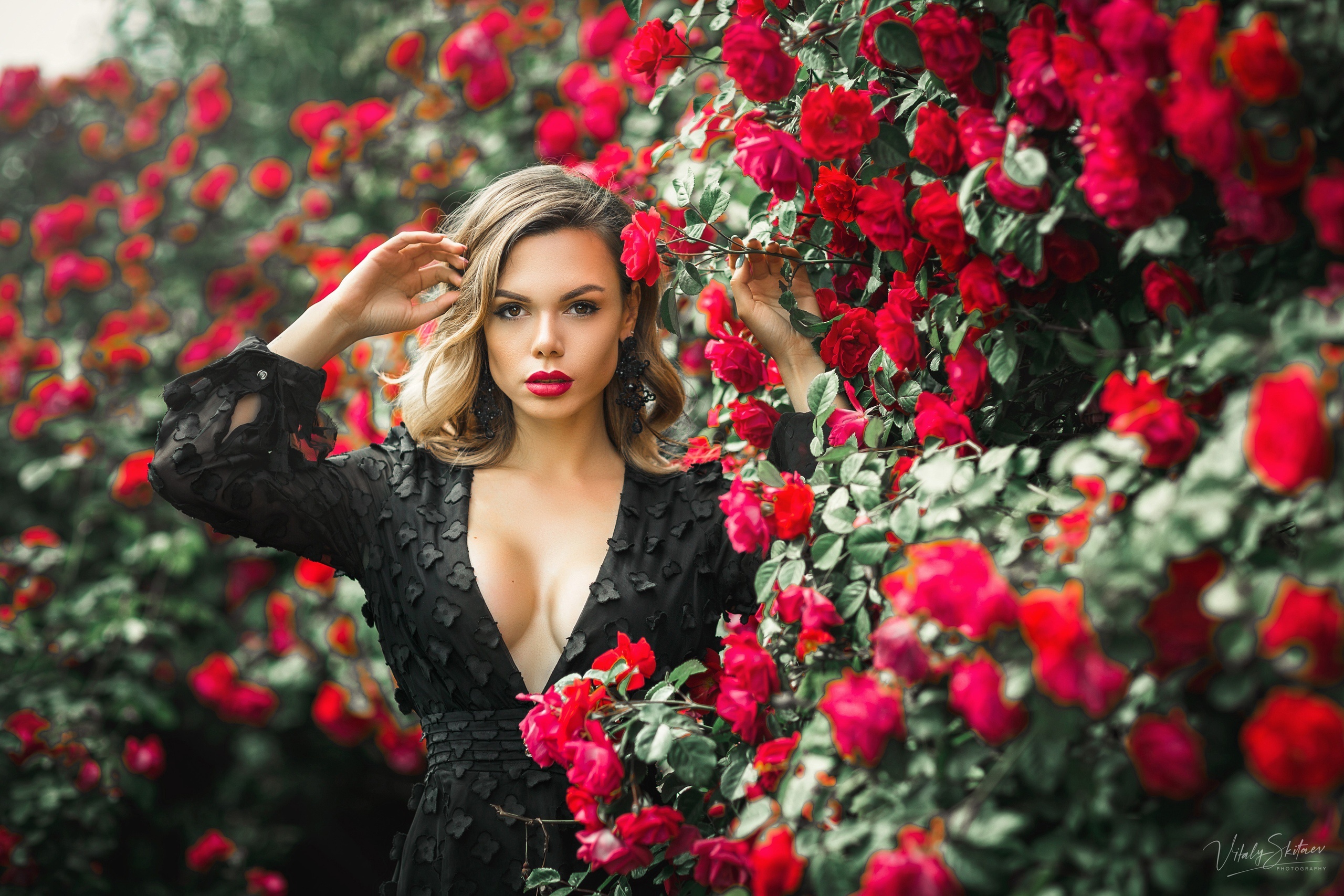 Woman in black dress posing near red roses HD Wallpaper
