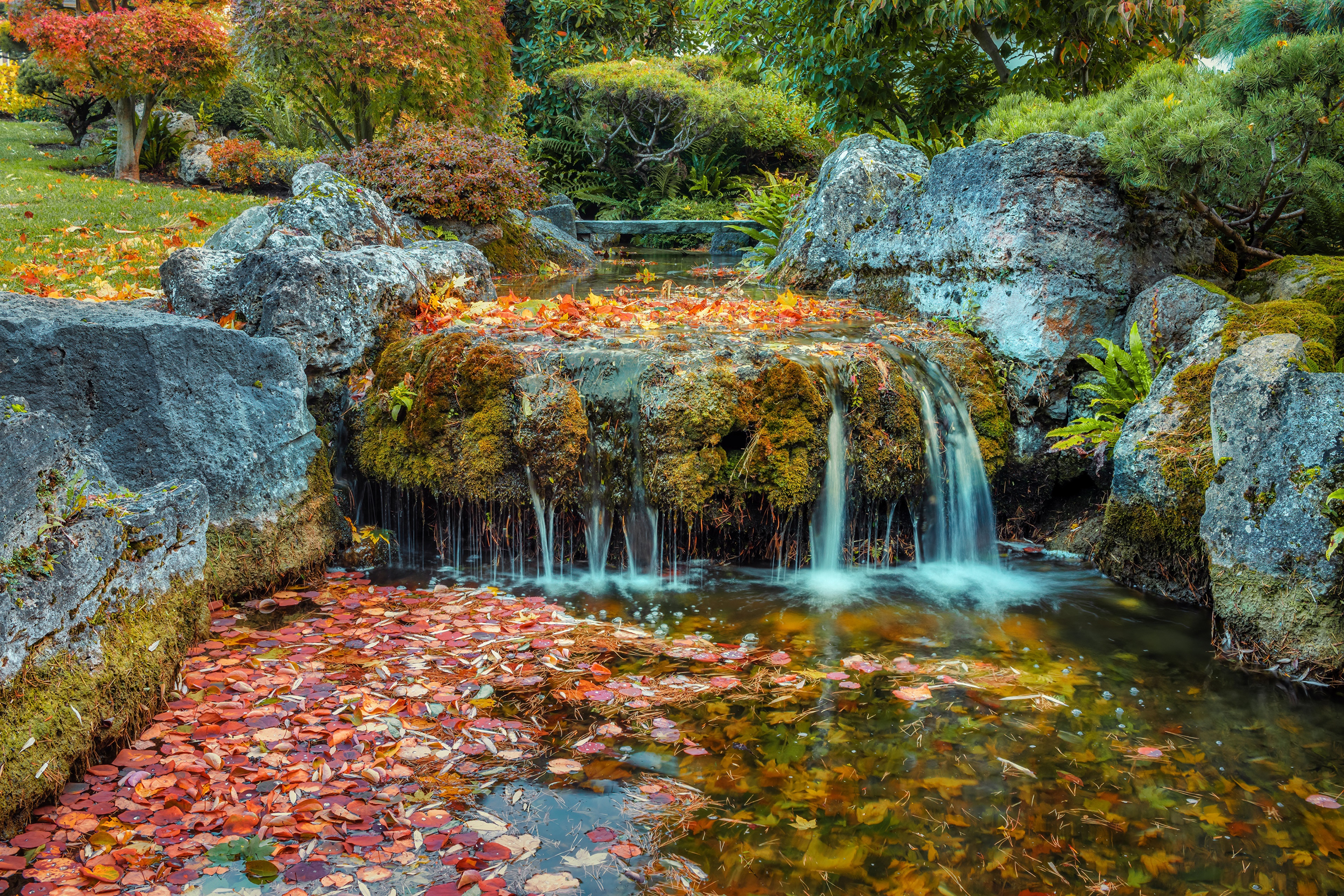 Autumn waterfall in Ludwigsburg, Germany with foliage HD Wallpaper