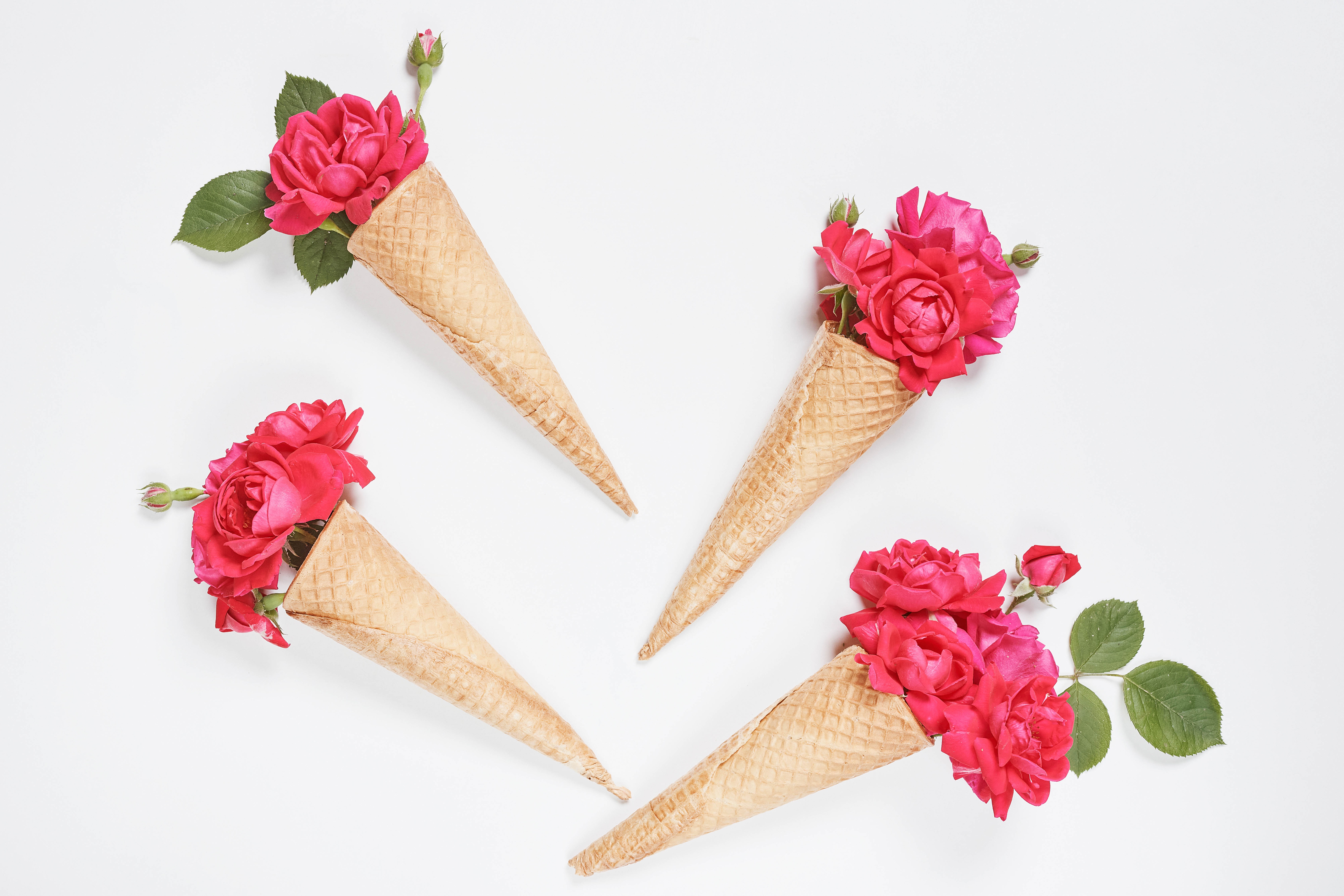 Four ice cream cones with pink roses on a white background HD Wallpaper
