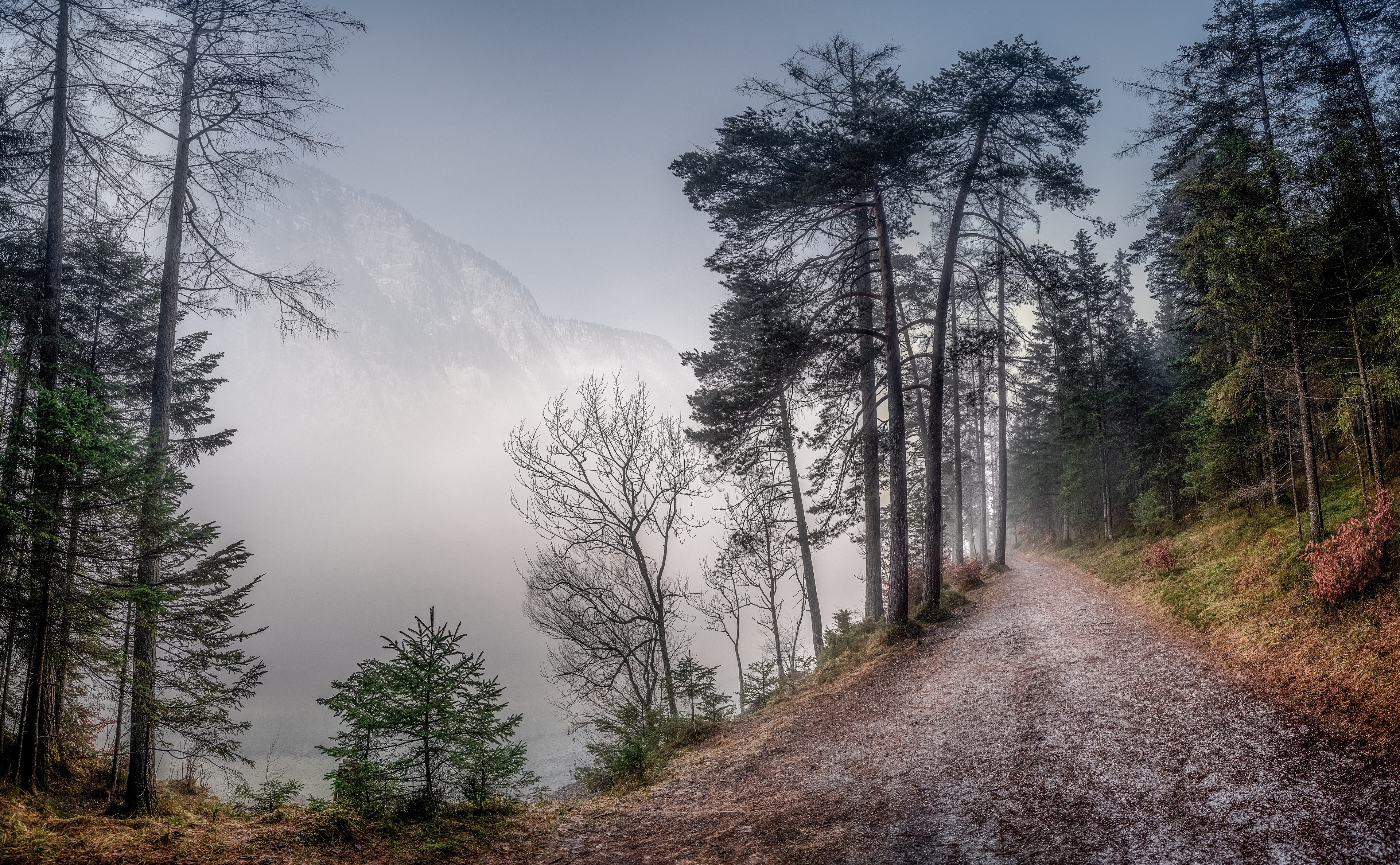 4K Foggy Mountain Road in Styria, Austria HD Wallpaper
