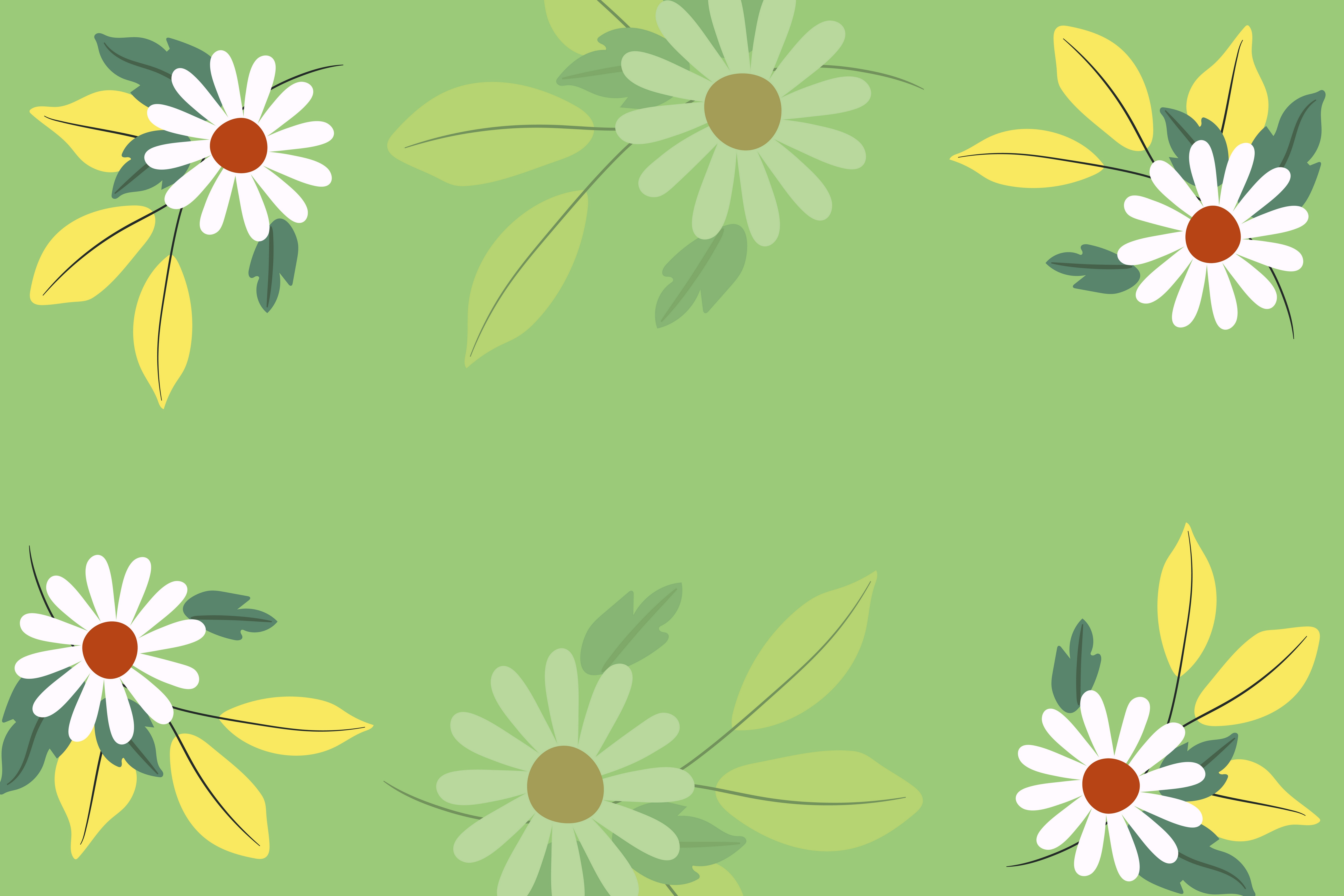Camomiles on a colored background template HD Wallpaper