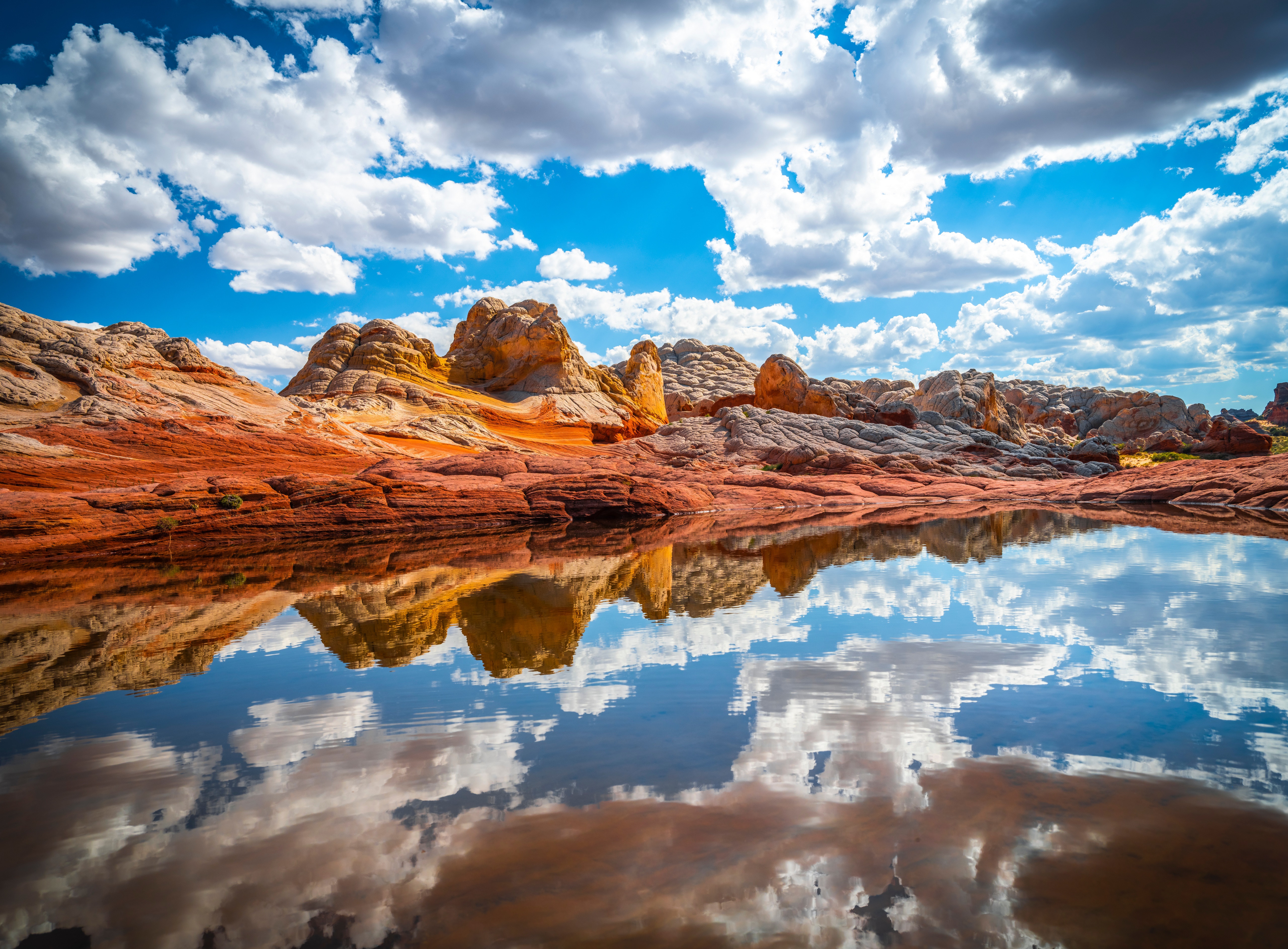 White Pocket, USA with Water Reflection HD Wallpaper