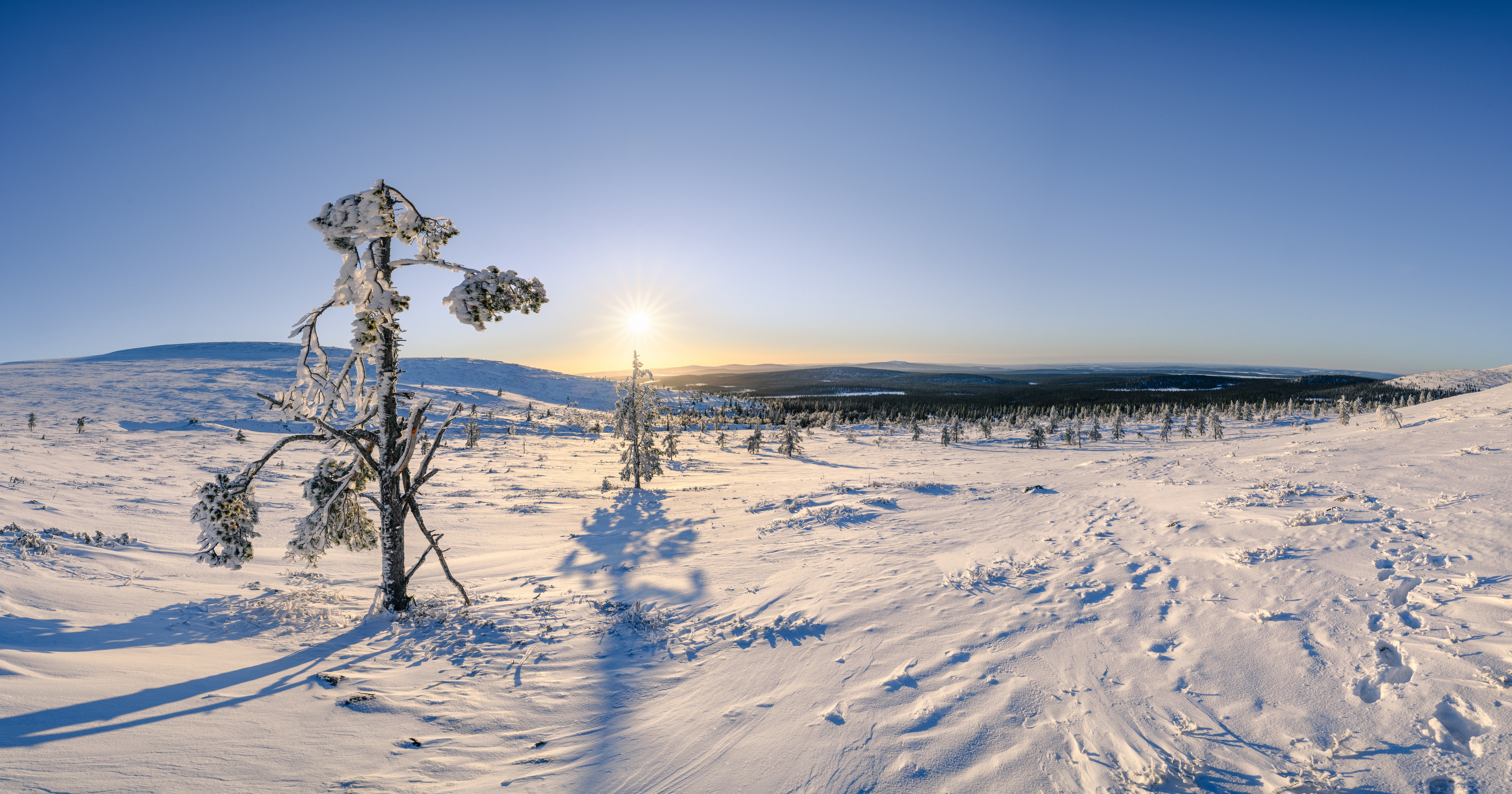 Snowy Landscape in Raattama, Finland at Sunrise HD Wallpaper
