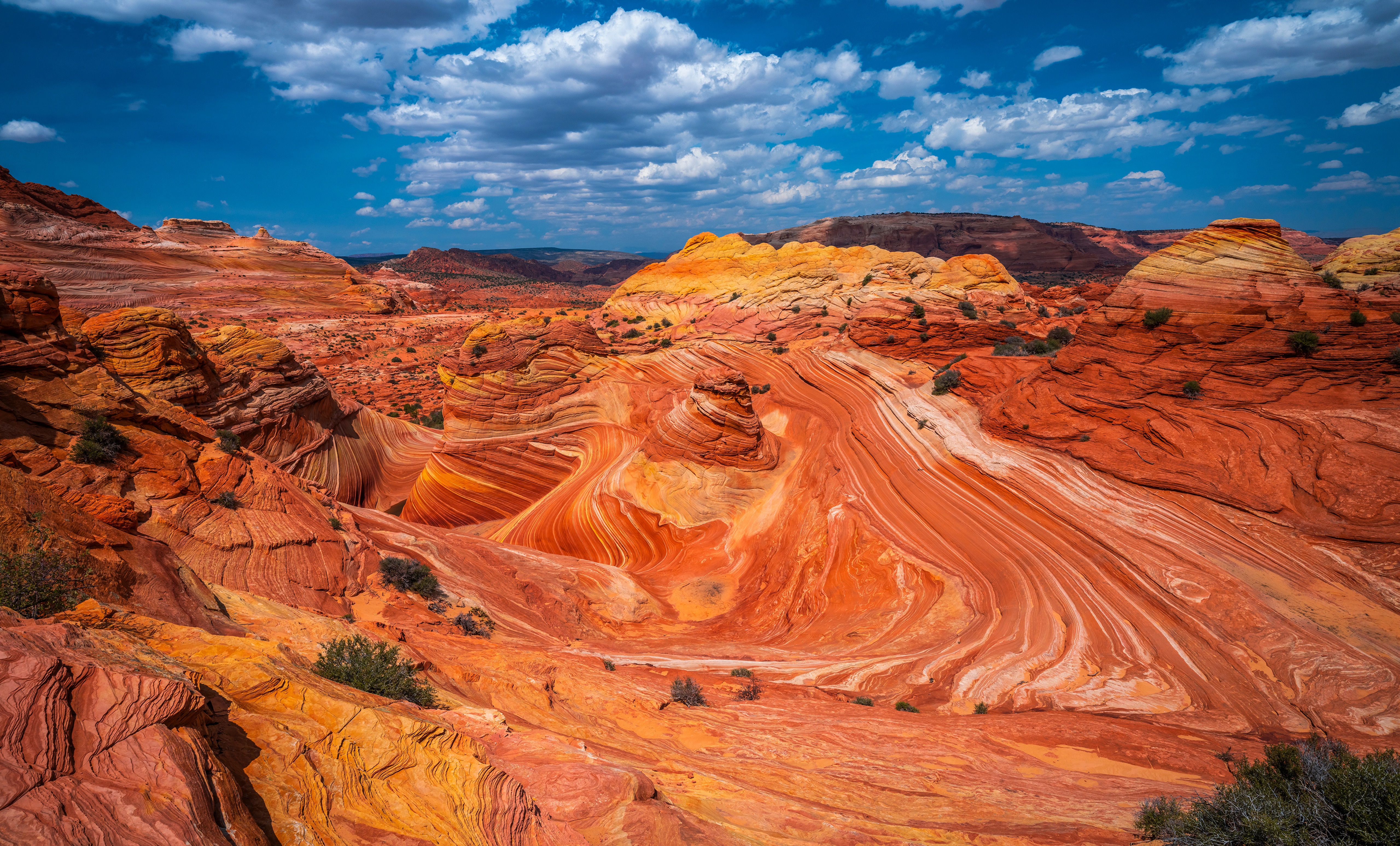The Wave, Marble Canyon, USA HD Wallpaper