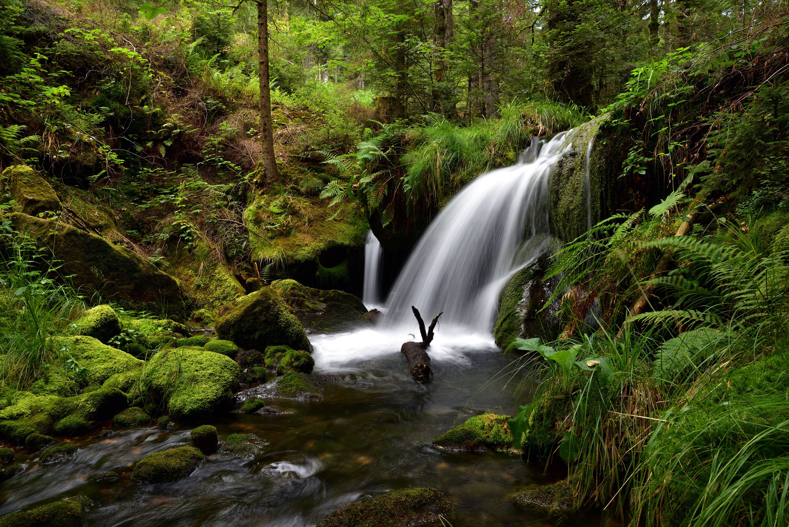 Waterfall in a mossy forest in France HD Wallpaper